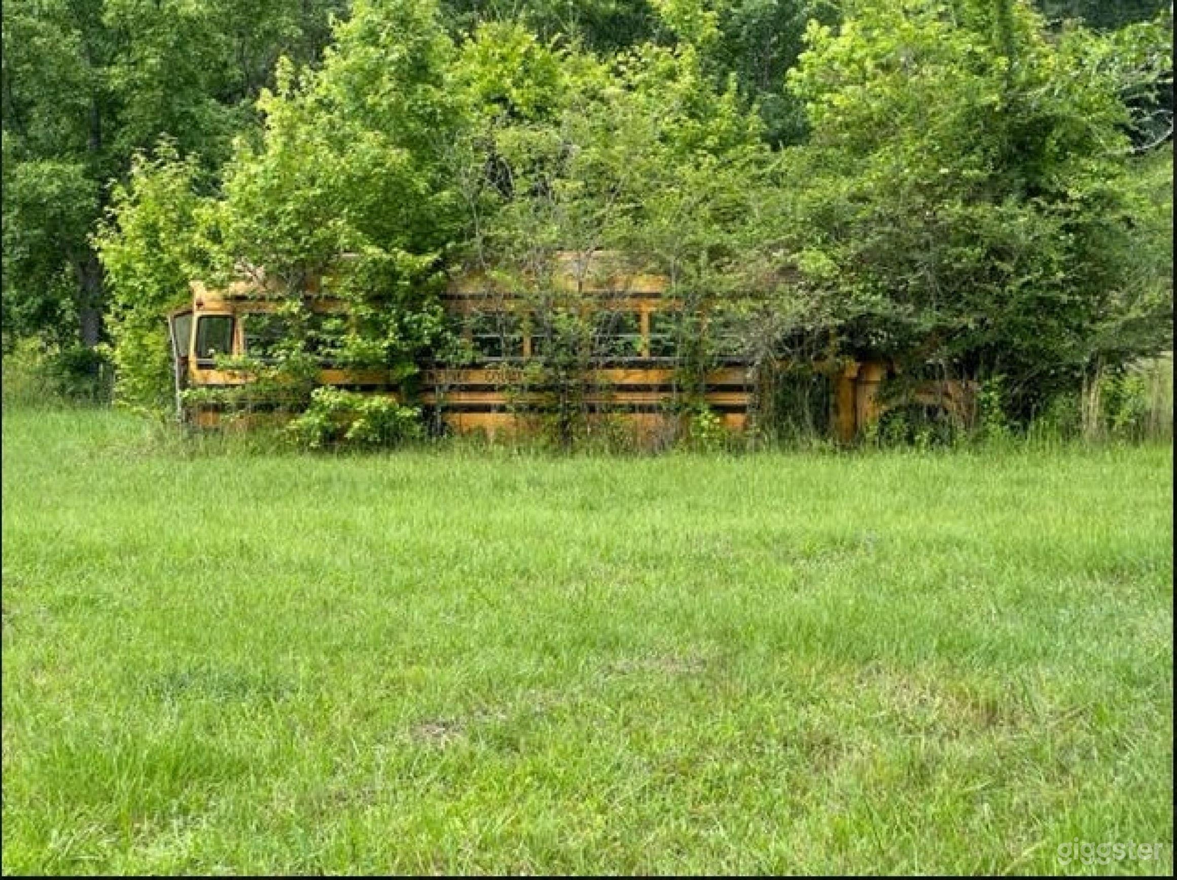 Vintage Charm, Historic Bus Photo 4