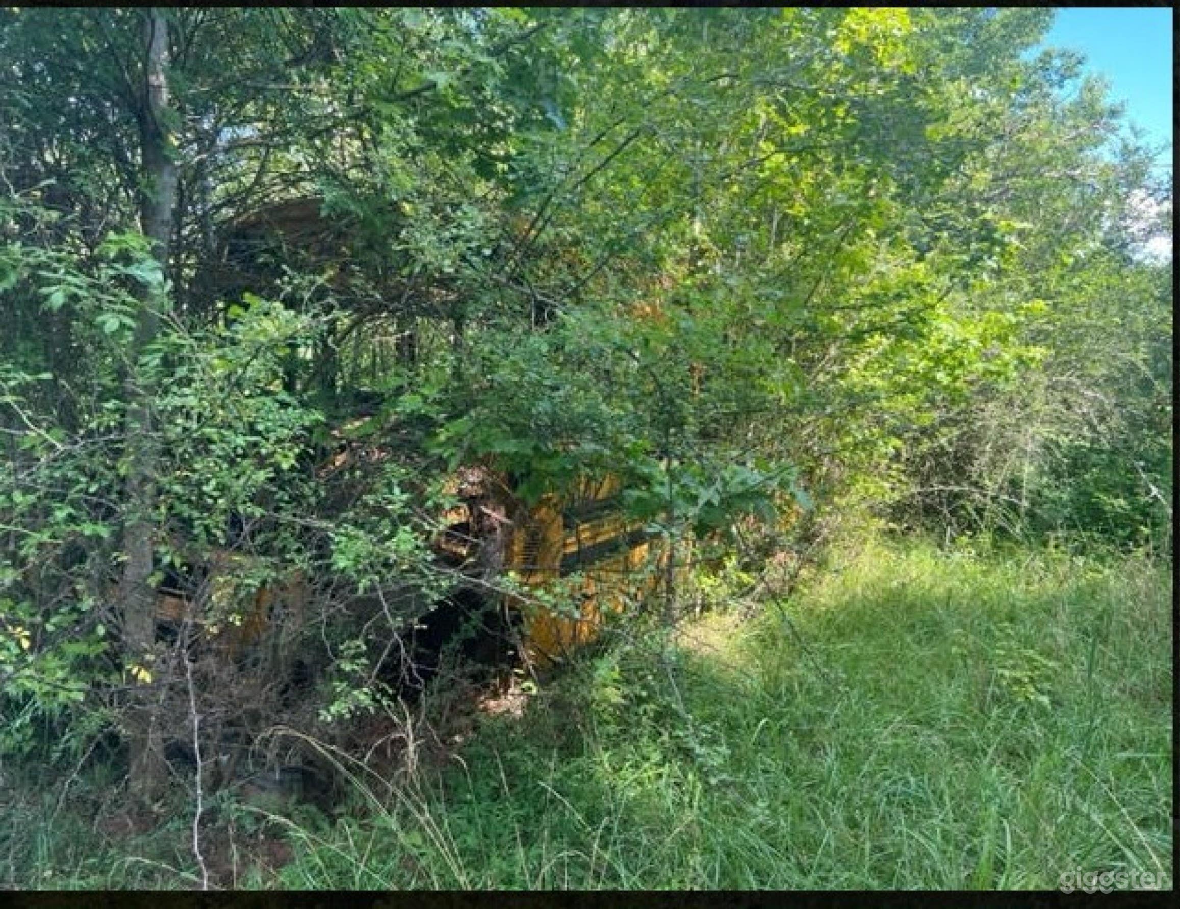 Vintage Charm, Historic Bus Photo 2