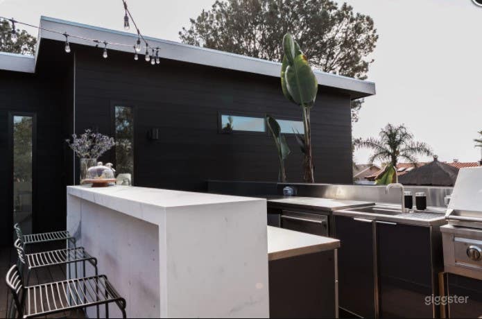 Sustainable Minimalist Designer Encinitas Home - Buyout Photo 2
