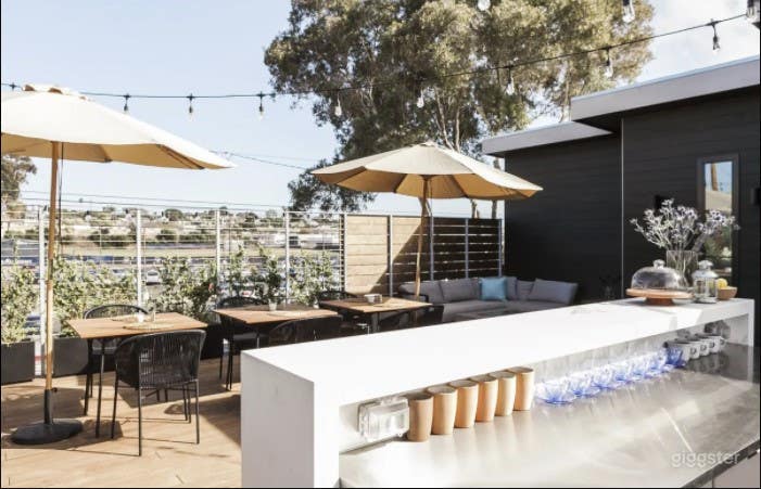  Sustainable Minimalist Designer Encinitas Home - Buyout 