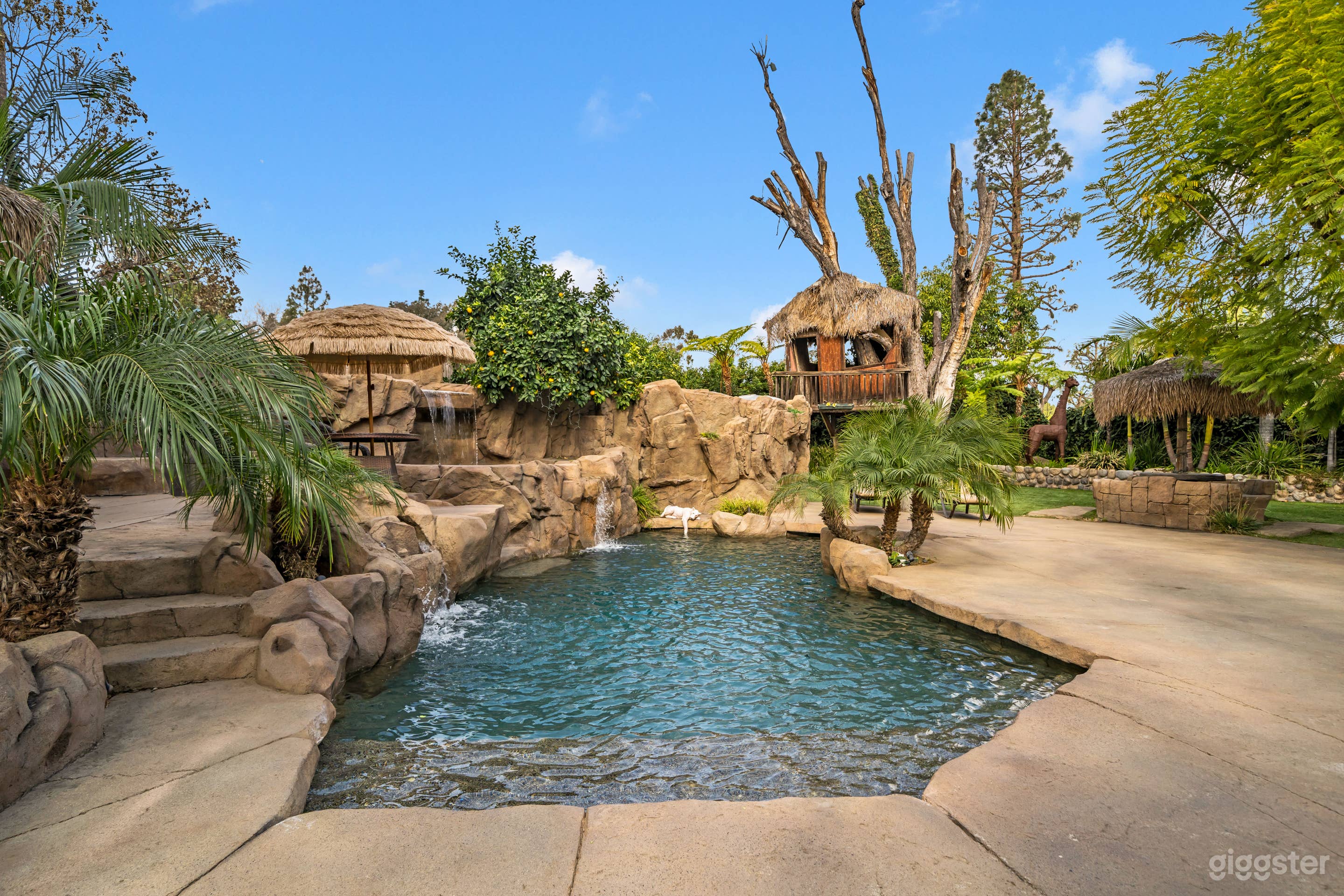 MAGICAL VALLEY VENUE: PERFECT FOR PRODUCTIONS  Photo 3