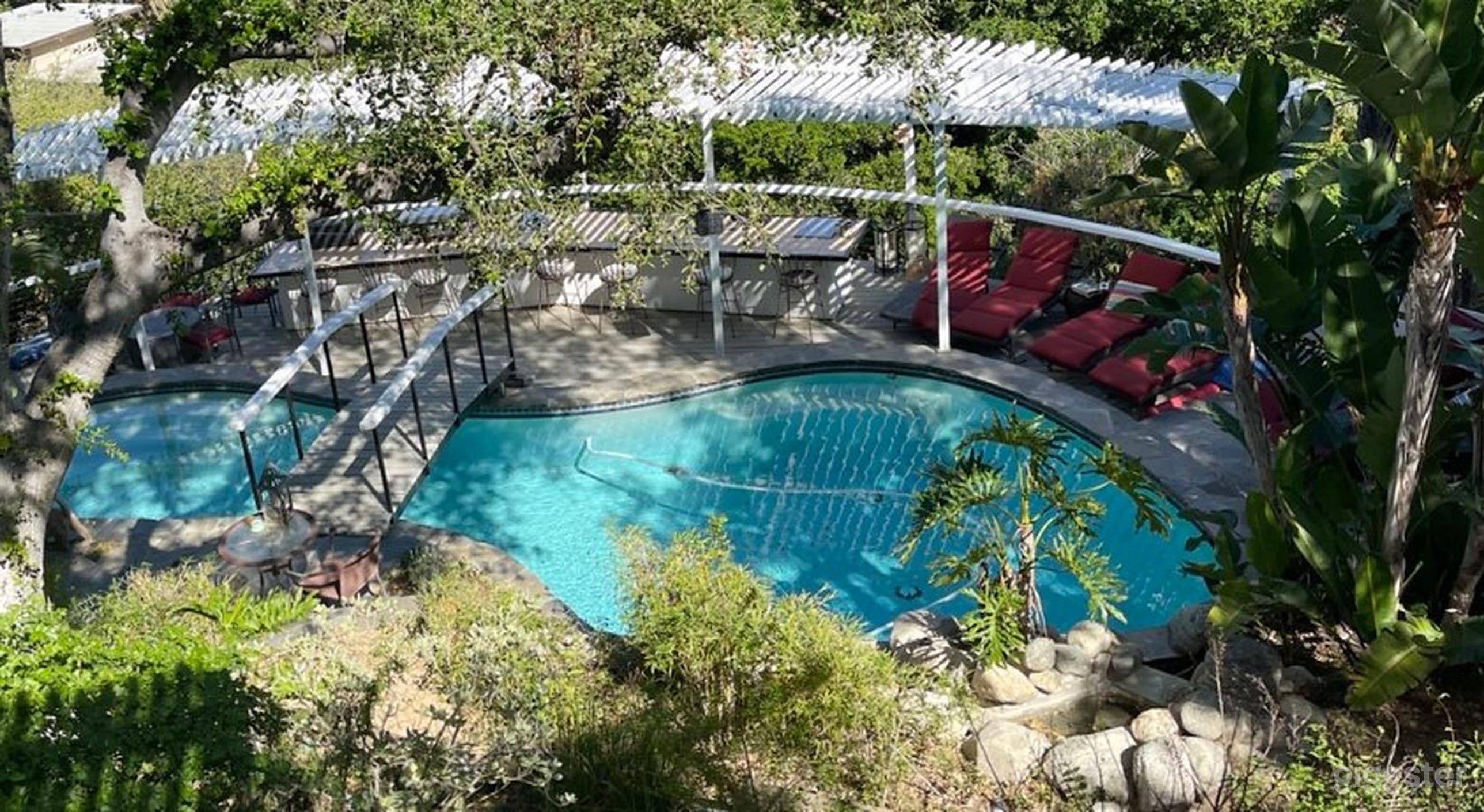 Stunning Courtyard Pool Gem Photo 1