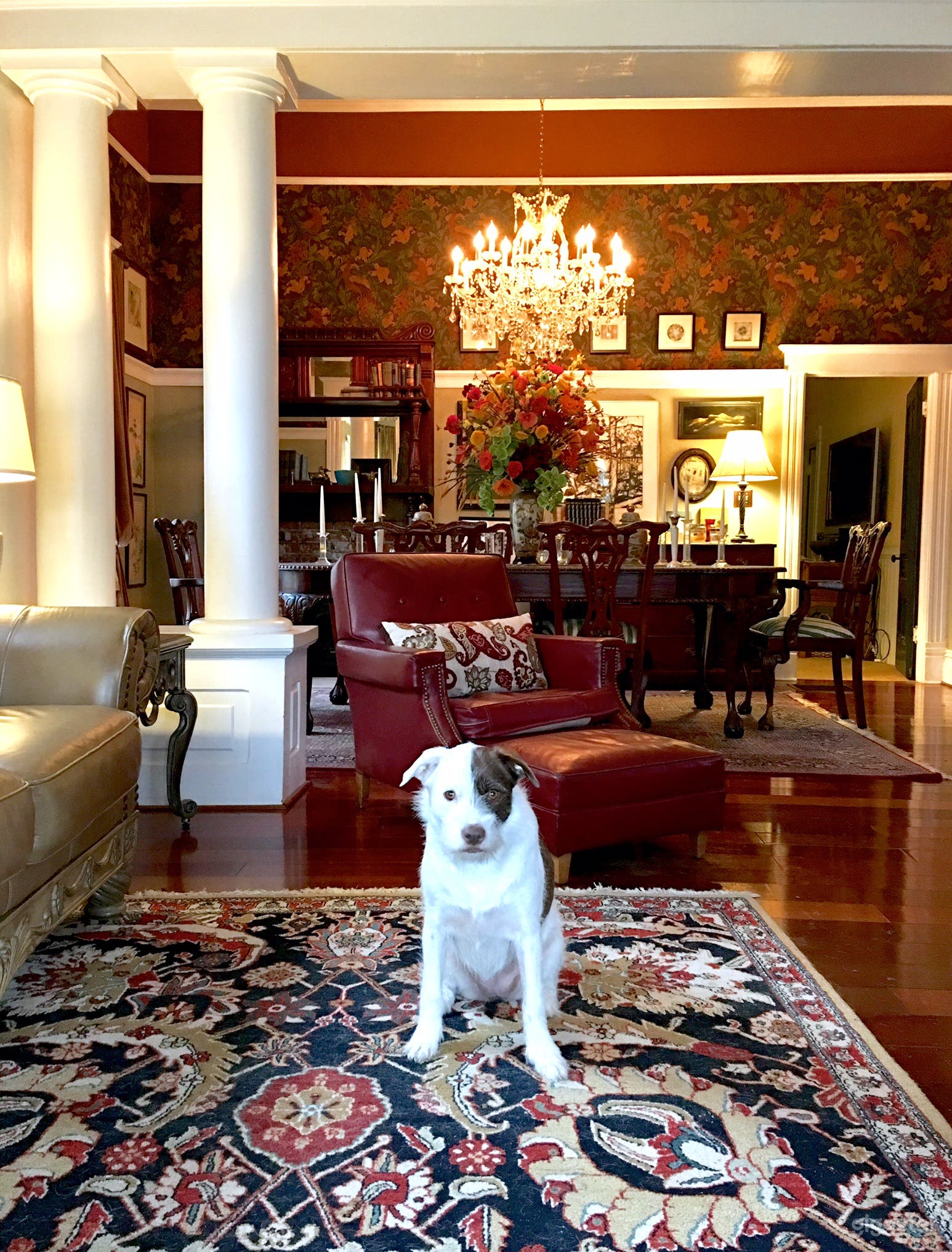 View from parlor to dining room.