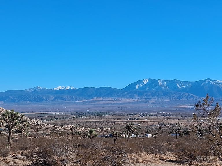  Photo taken 10-15-2025 