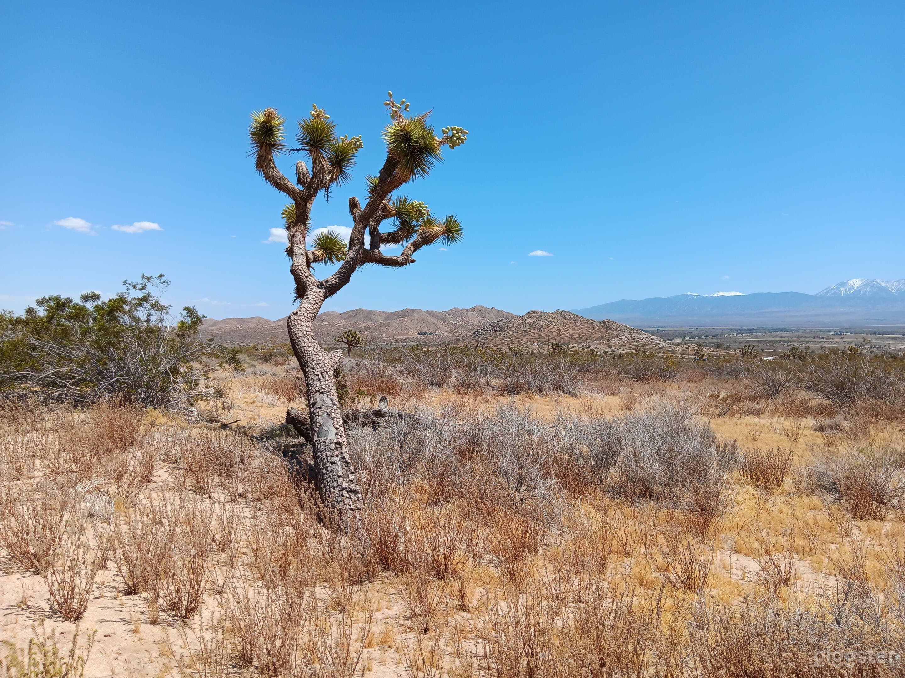 Facing south/south east from N-10. This is the land available.