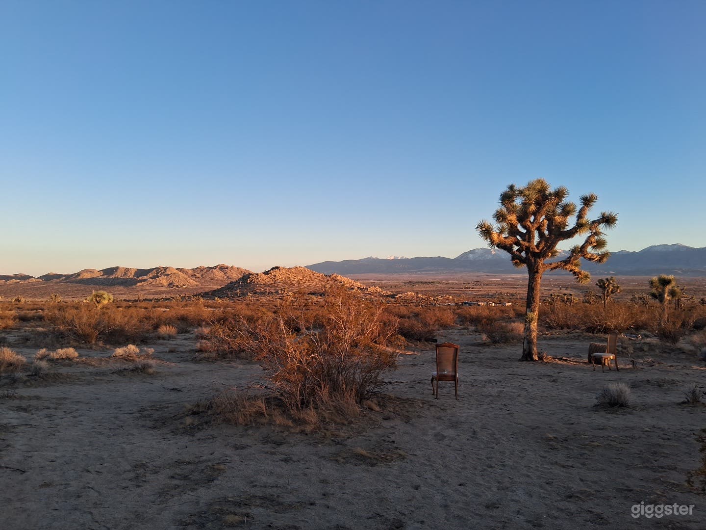 Photo taken 10-15-2025