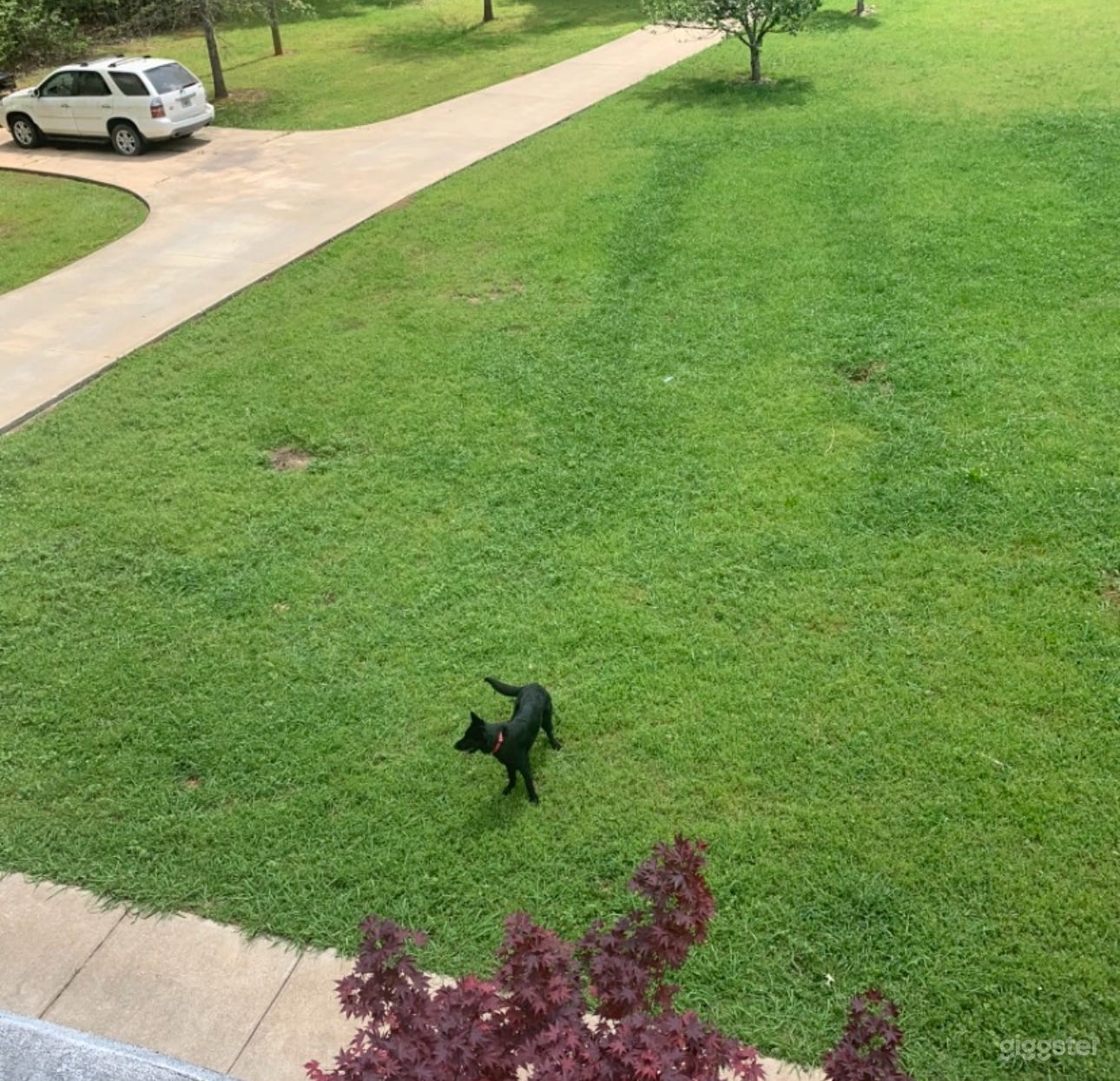 Chattahoochee Hills Tropical Estate  Photo 2