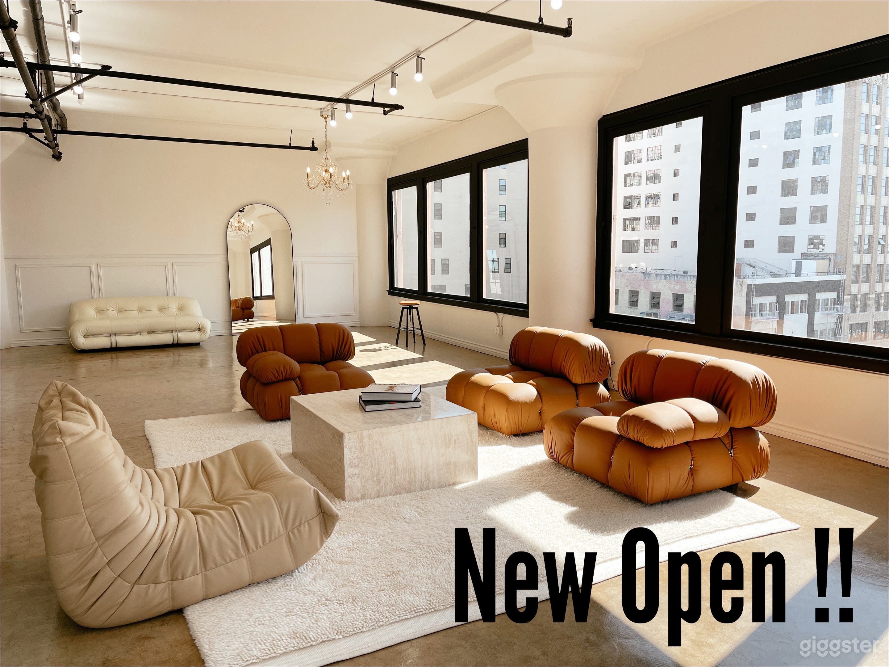 DTLA Luxury Corner with Ample of Natural Light Photo 1