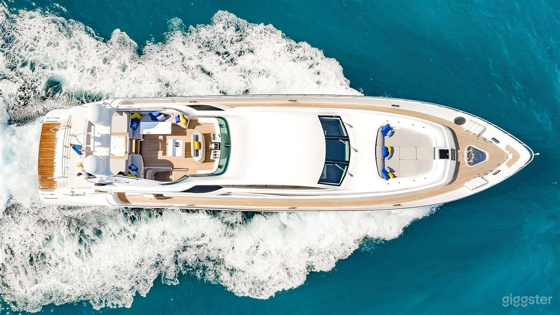 Stylish and Unforgettable 105' Leopard  Photo 2