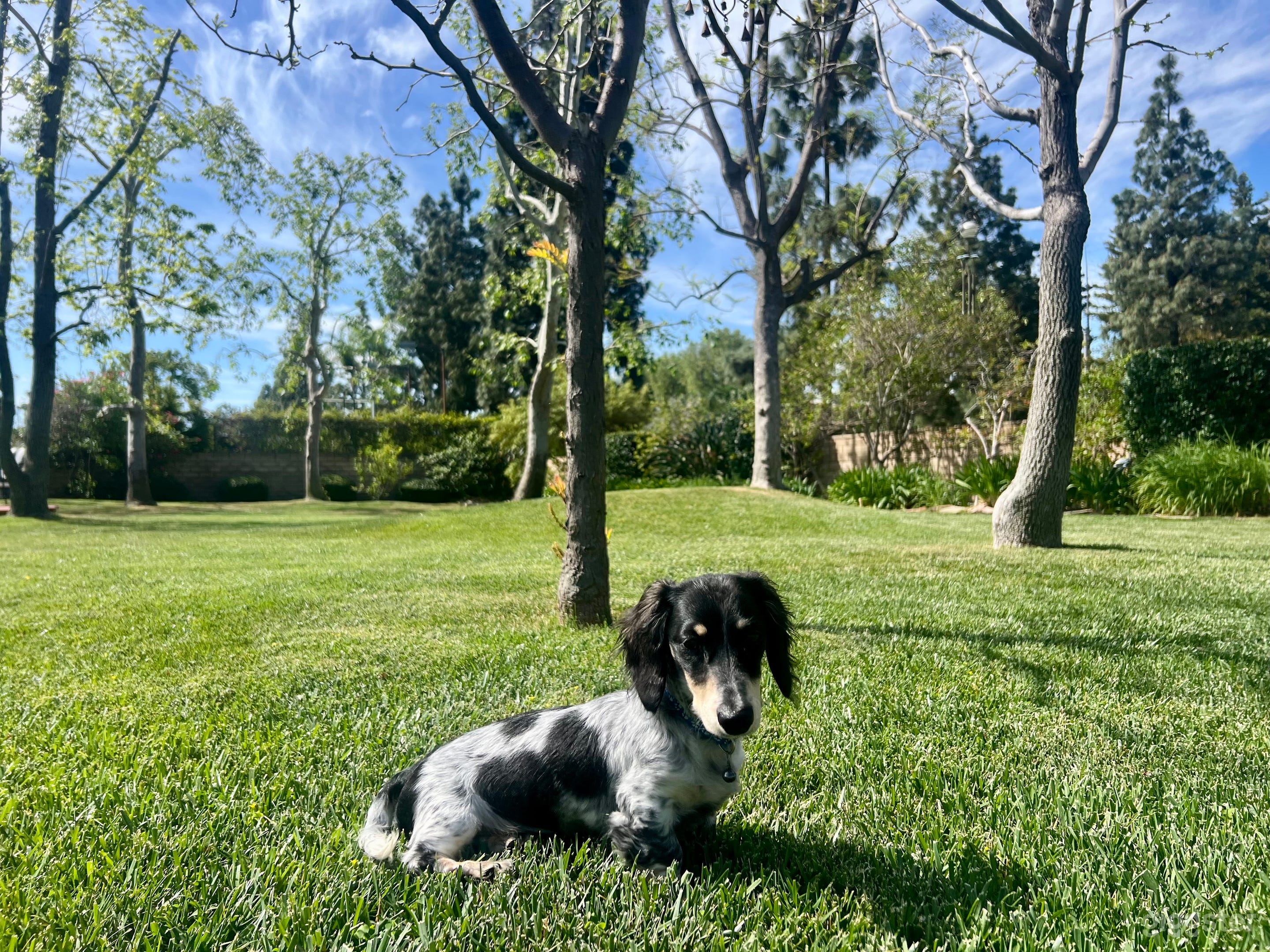 Gorgeous Park Sized Yard, Modern Farm House Vibe Photo 2