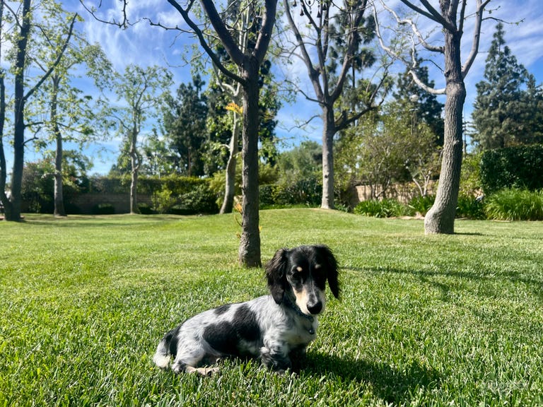  Gorgeous Park Sized Yard, Modern Farm House Vibe 