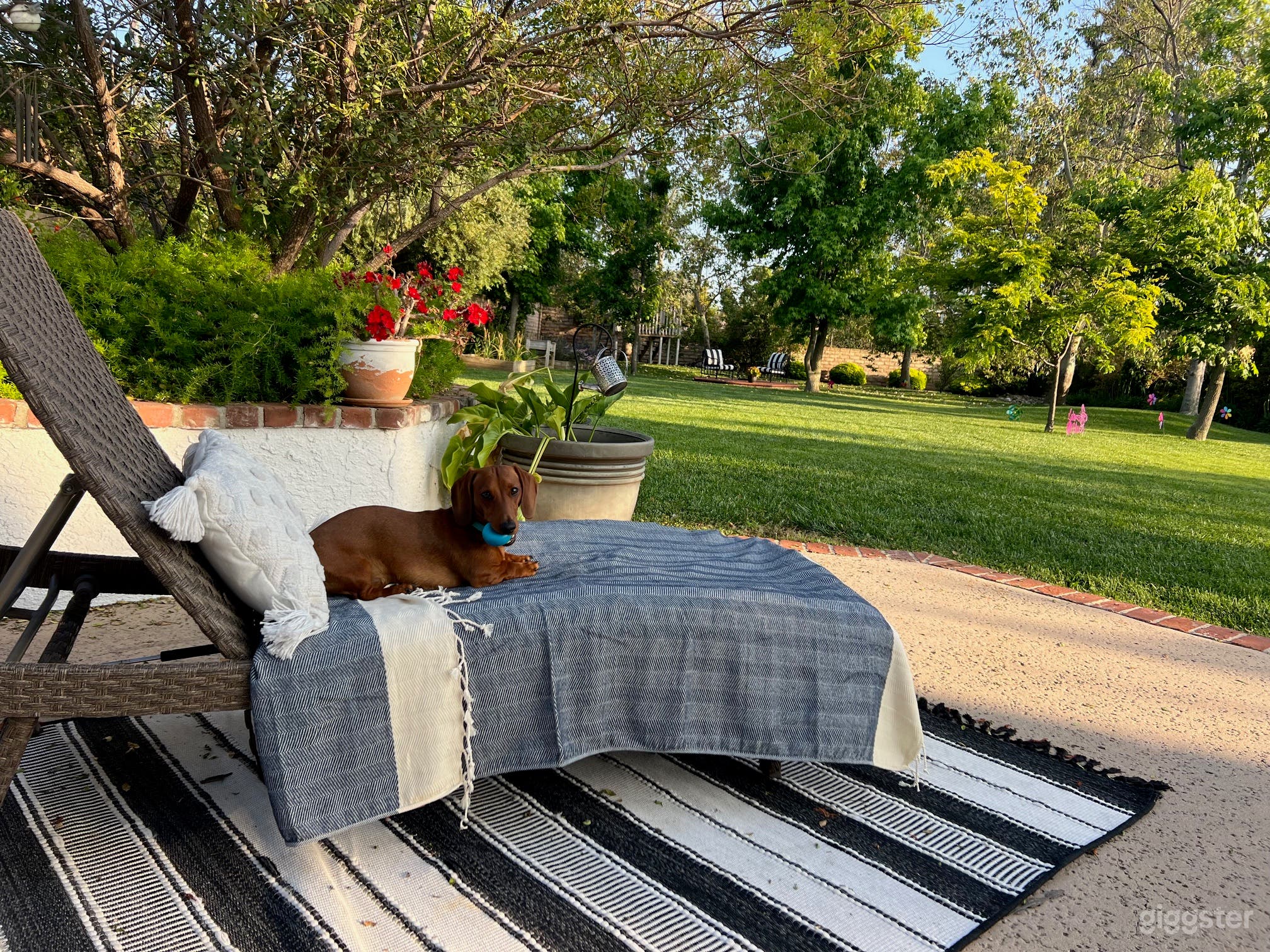 Amazing yard for photo shoots