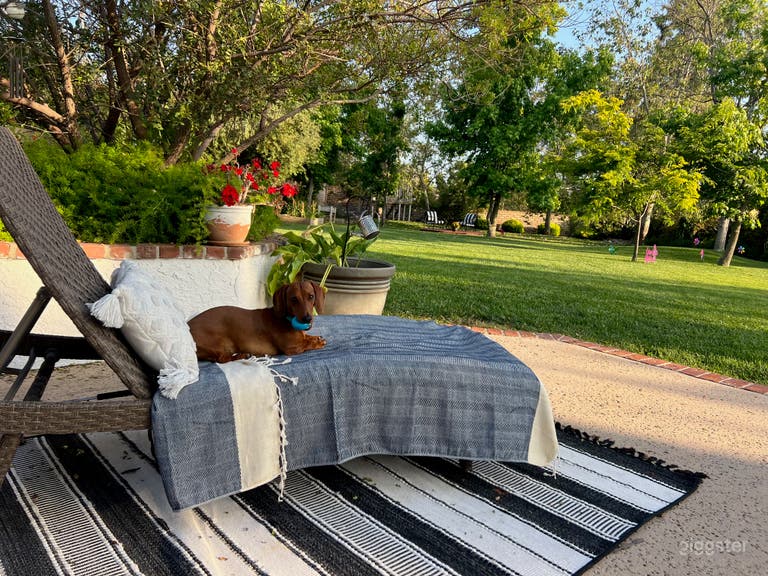  Amazing yard for photo shoots 