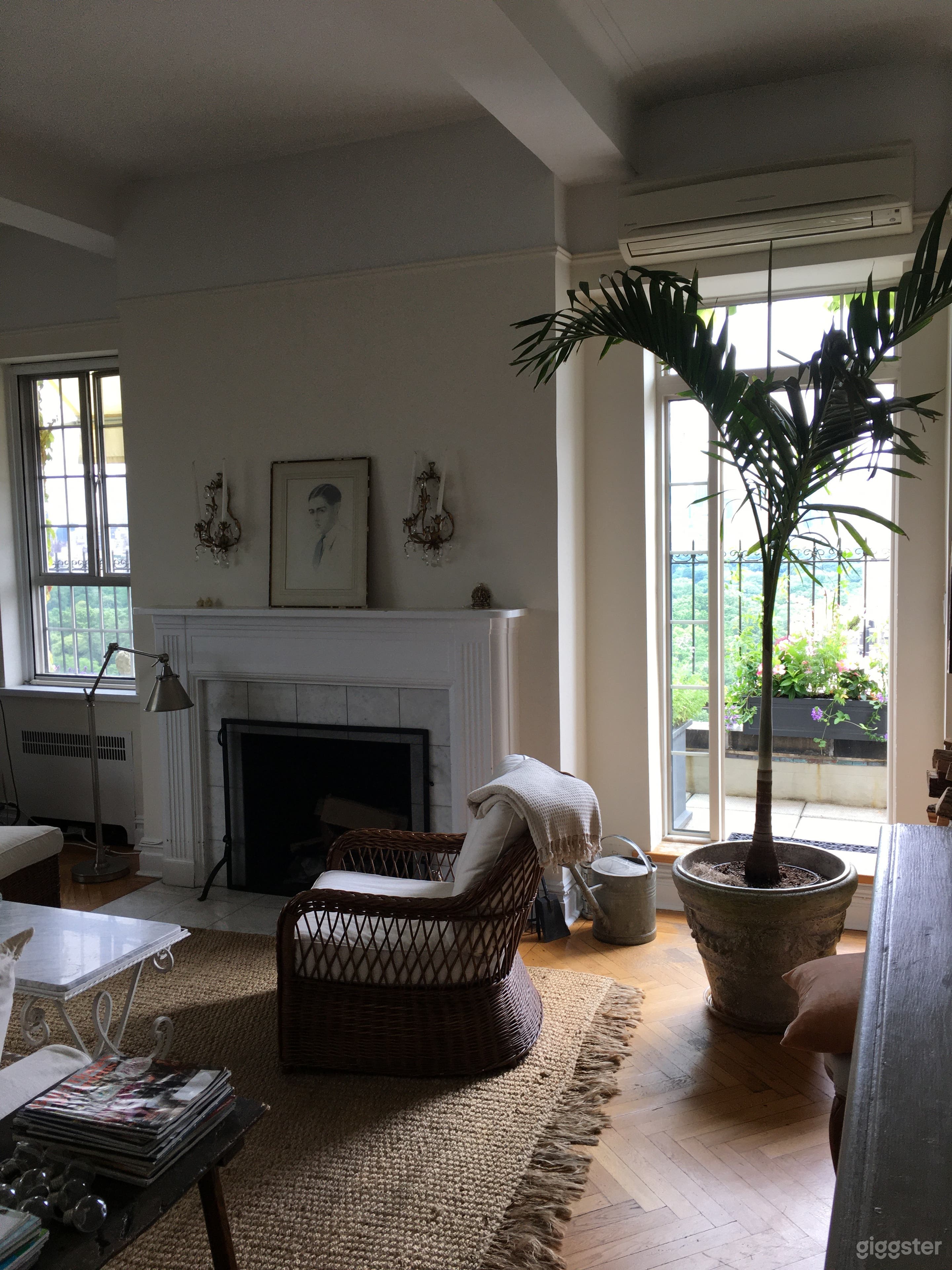 Manhattan terraced PH overlooking Central Park  Photo 4