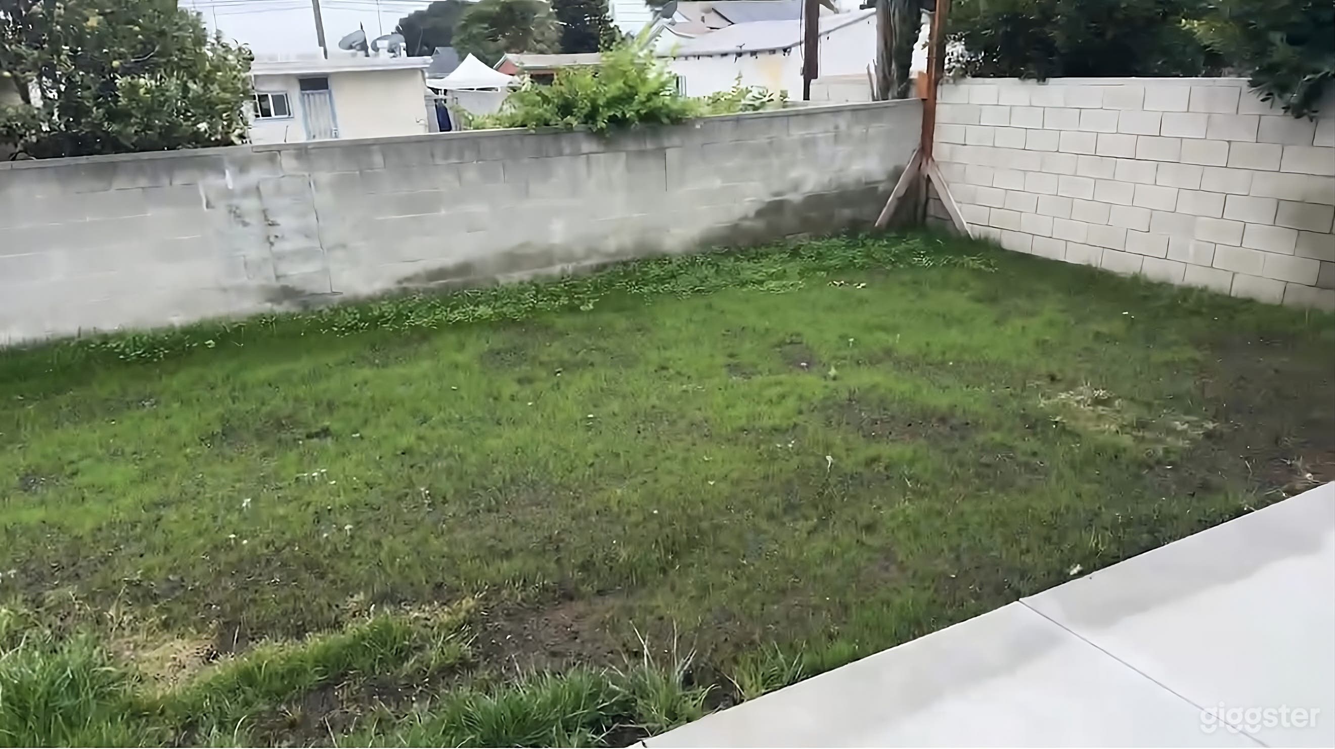 Modern Minimalist Backyard Photo 4