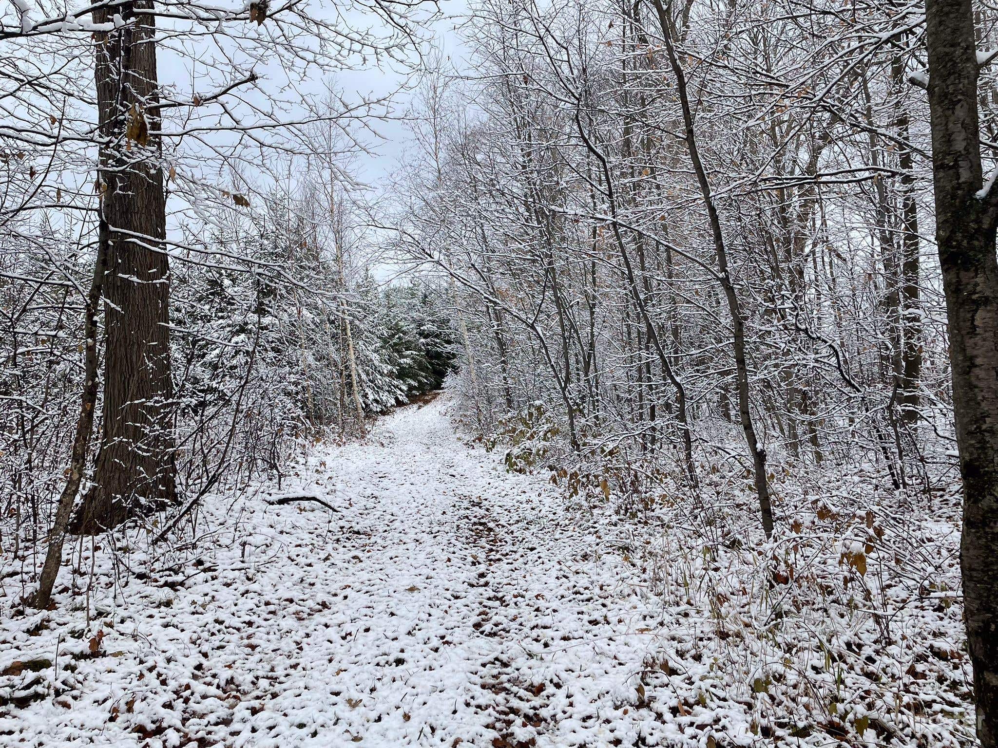 Countryside Rolling Hills and Forest Trails Photo 4