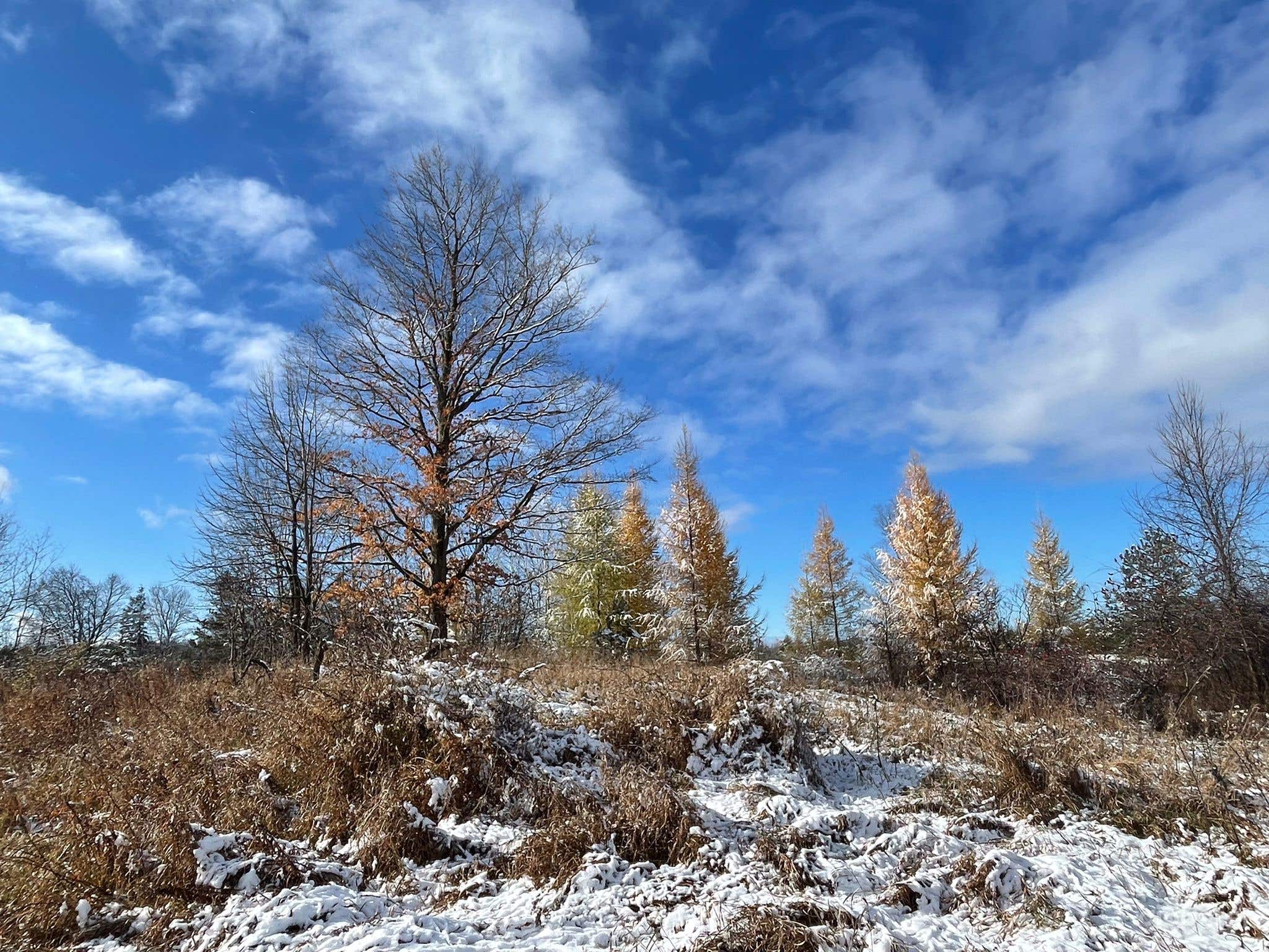 Countryside Rolling Hills and Forest Trails Photo 1