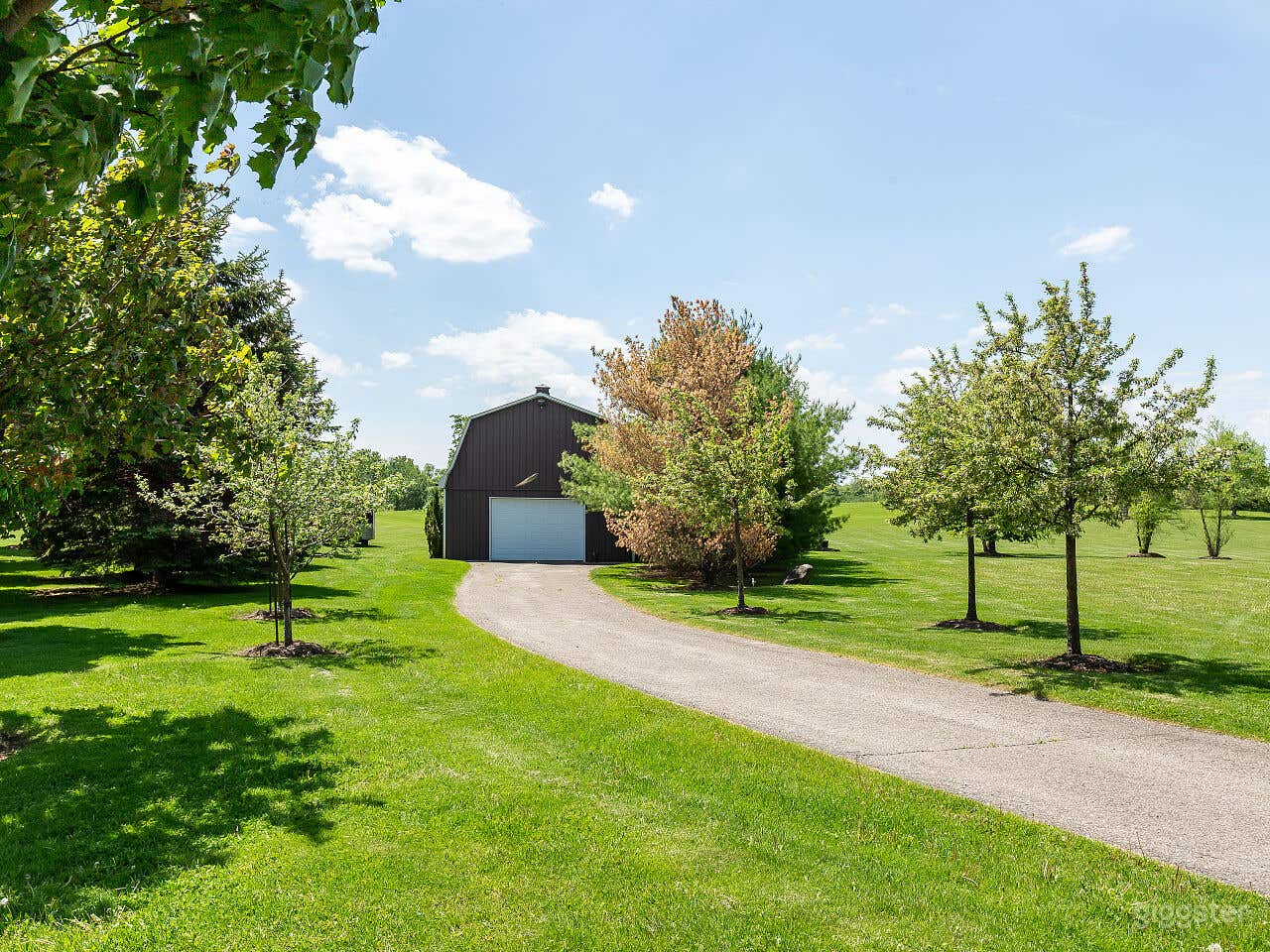 Countryside Rolling Hills and Forest Trails Photo 3