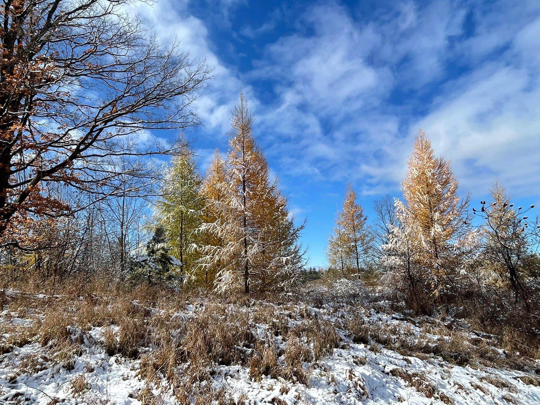 Countryside Rolling Hills and Forest Trails Photo 2