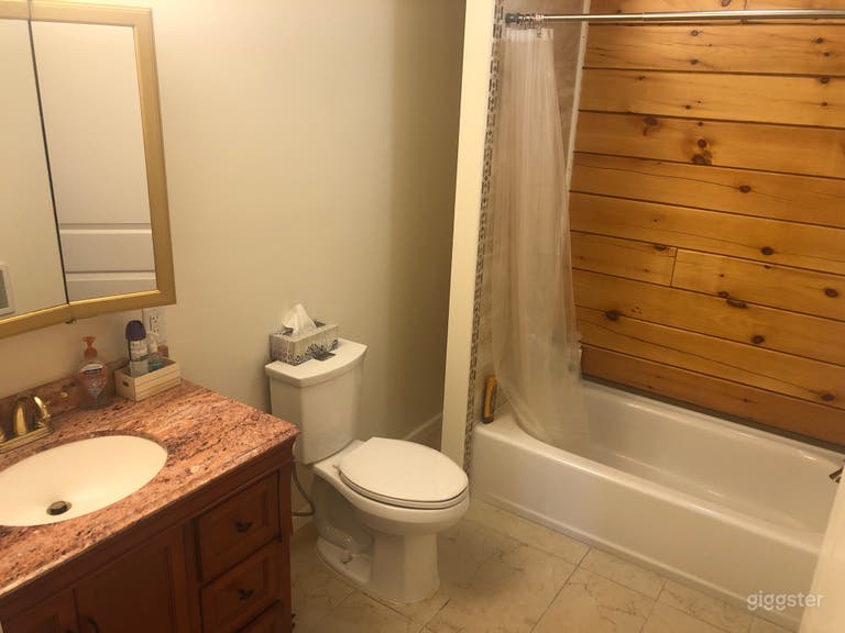  Log Cabin in the Woods 