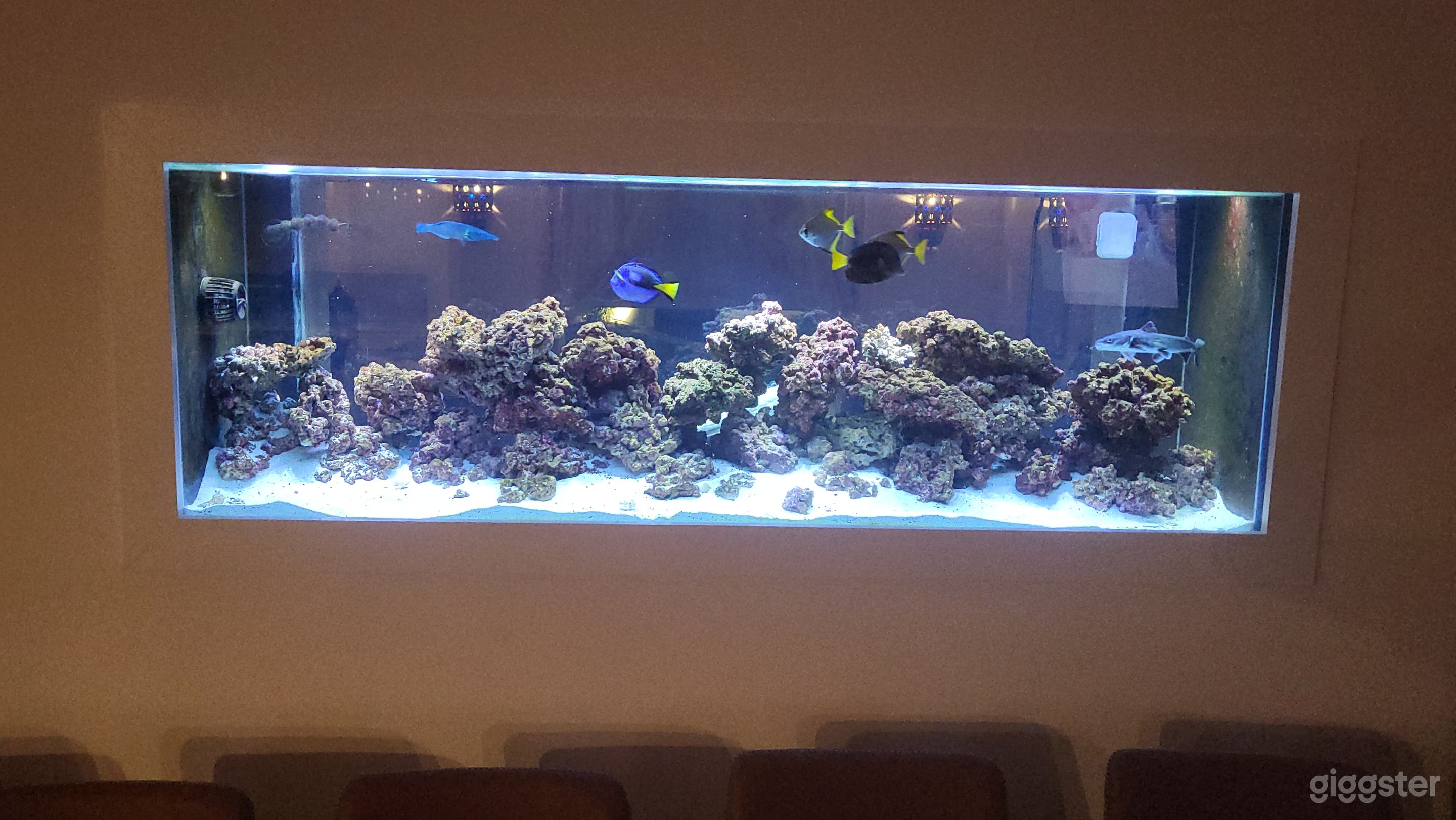 Huge backyard home  Photo 2