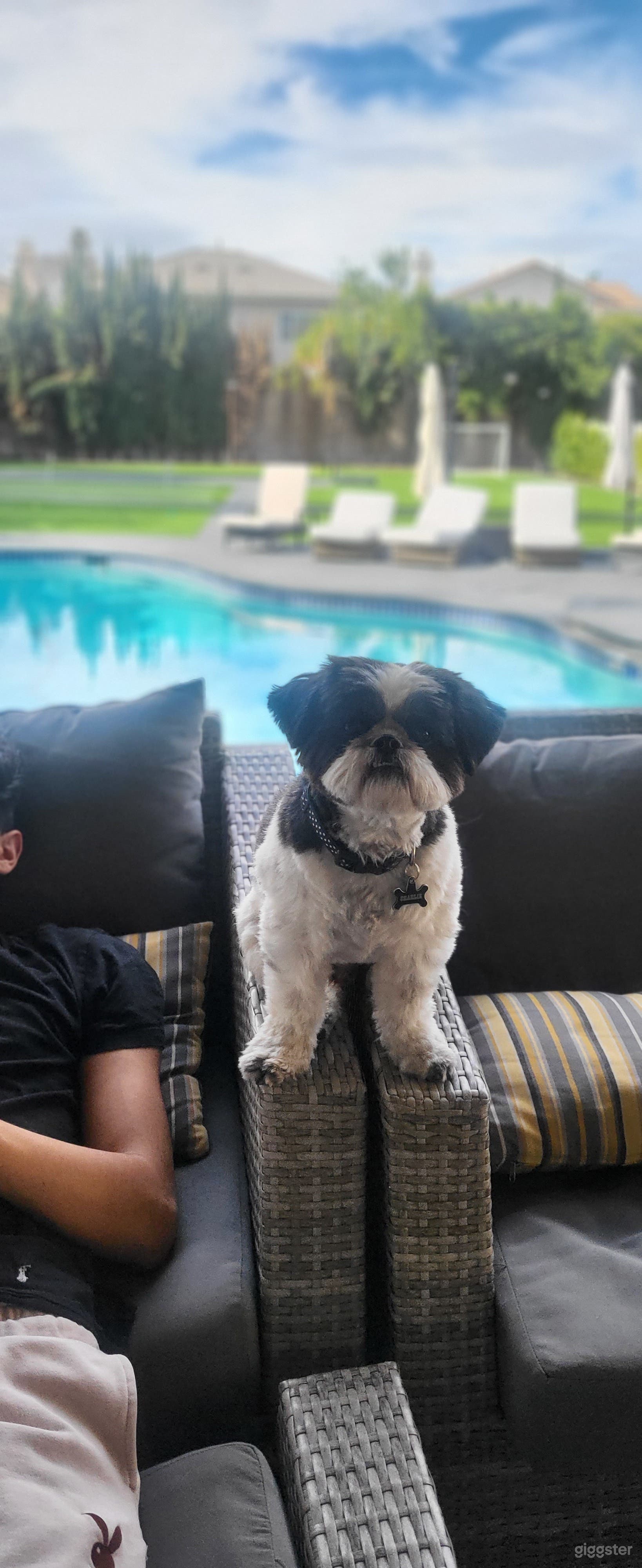 Huge backyard home  Photo 3