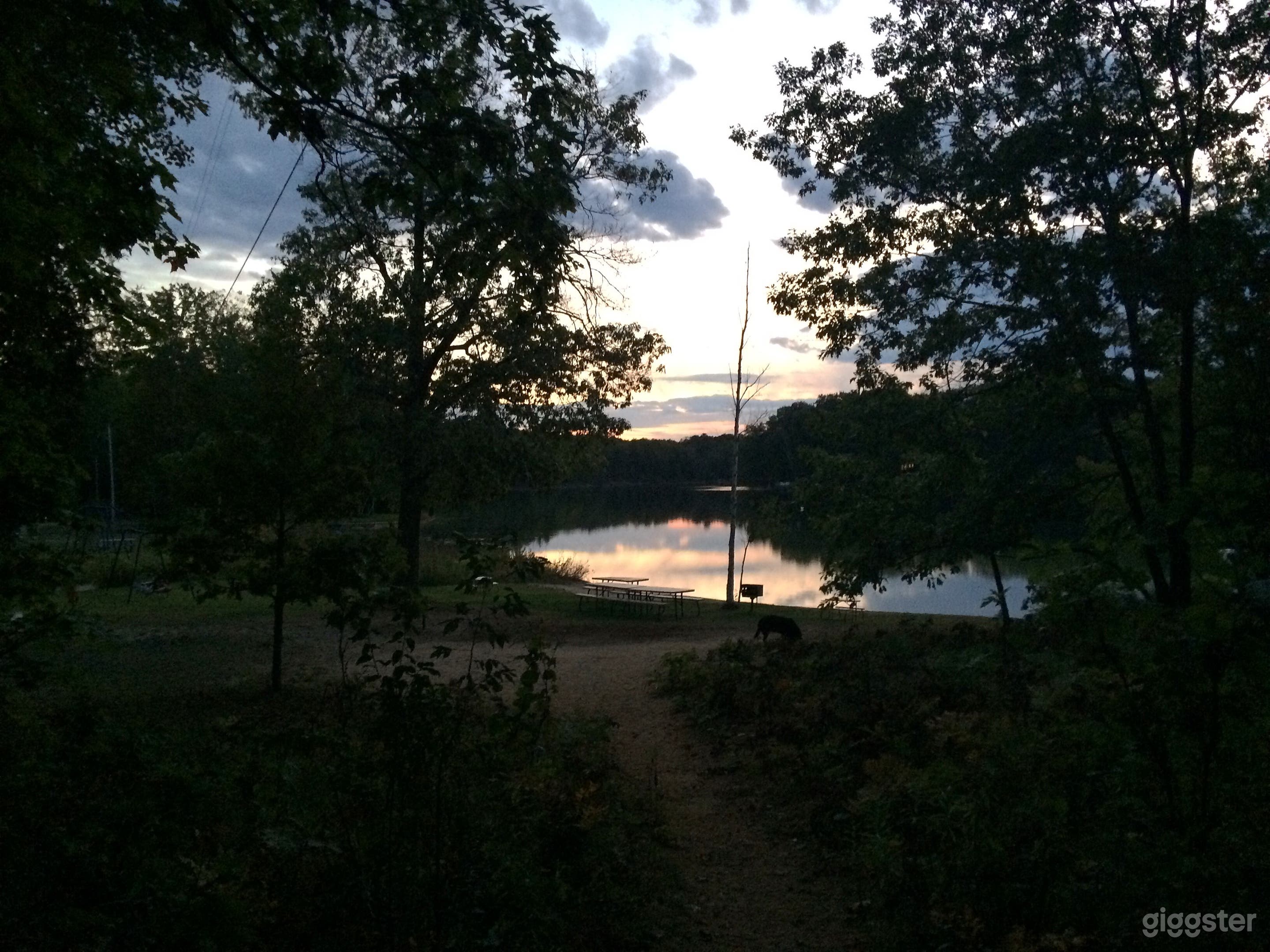 Northern Michigan Home in the Woods Photo 4