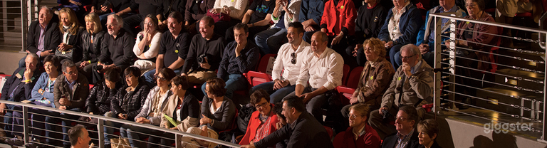  Museum Theater Perfect for Presentations and Meetings 