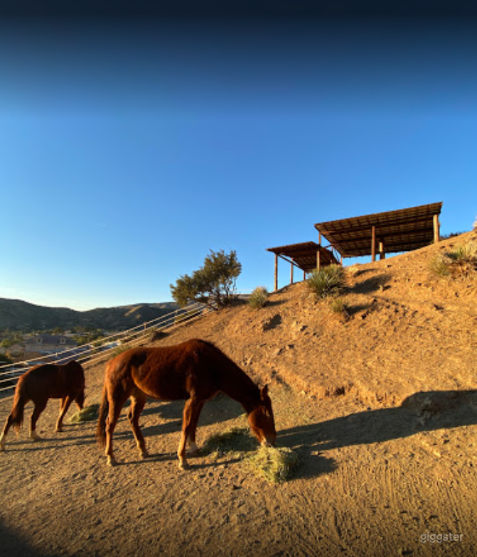  Rancho de Caballos con establos y vistas 