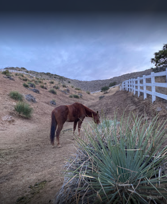  Rancho de Caballos con establos y vistas 