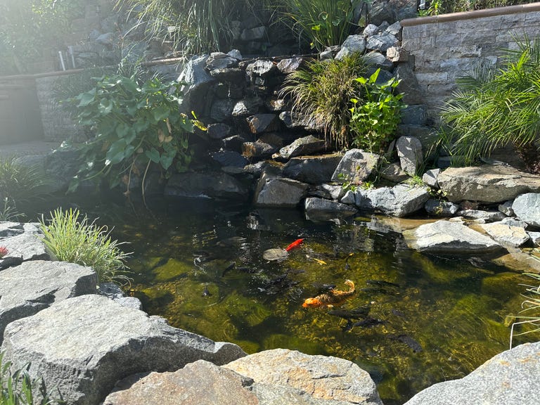  Event Space with Pond, Bar, and Outdoor Kitchen 