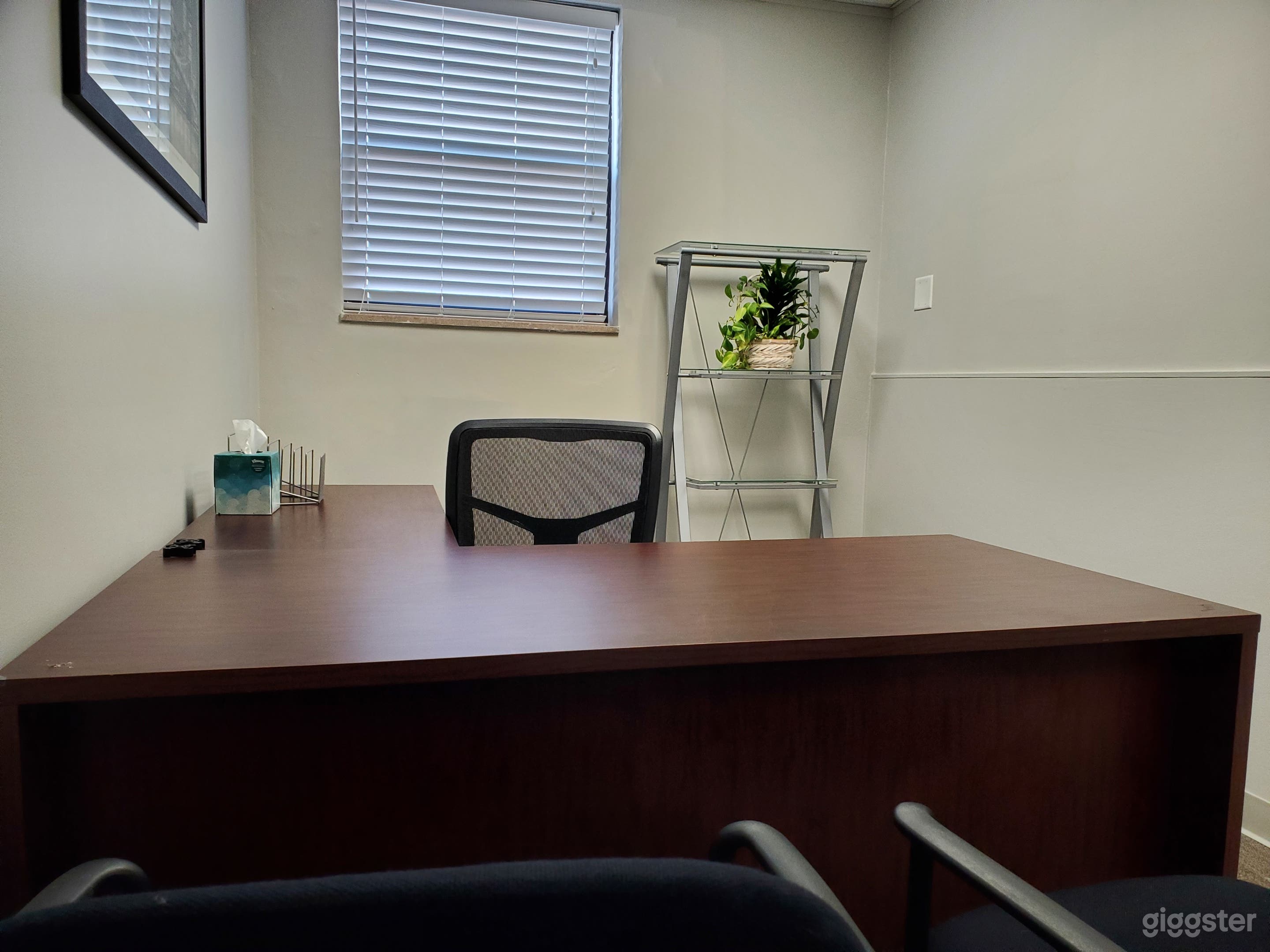 WorkRoom / Private Office- 116 Photo 4