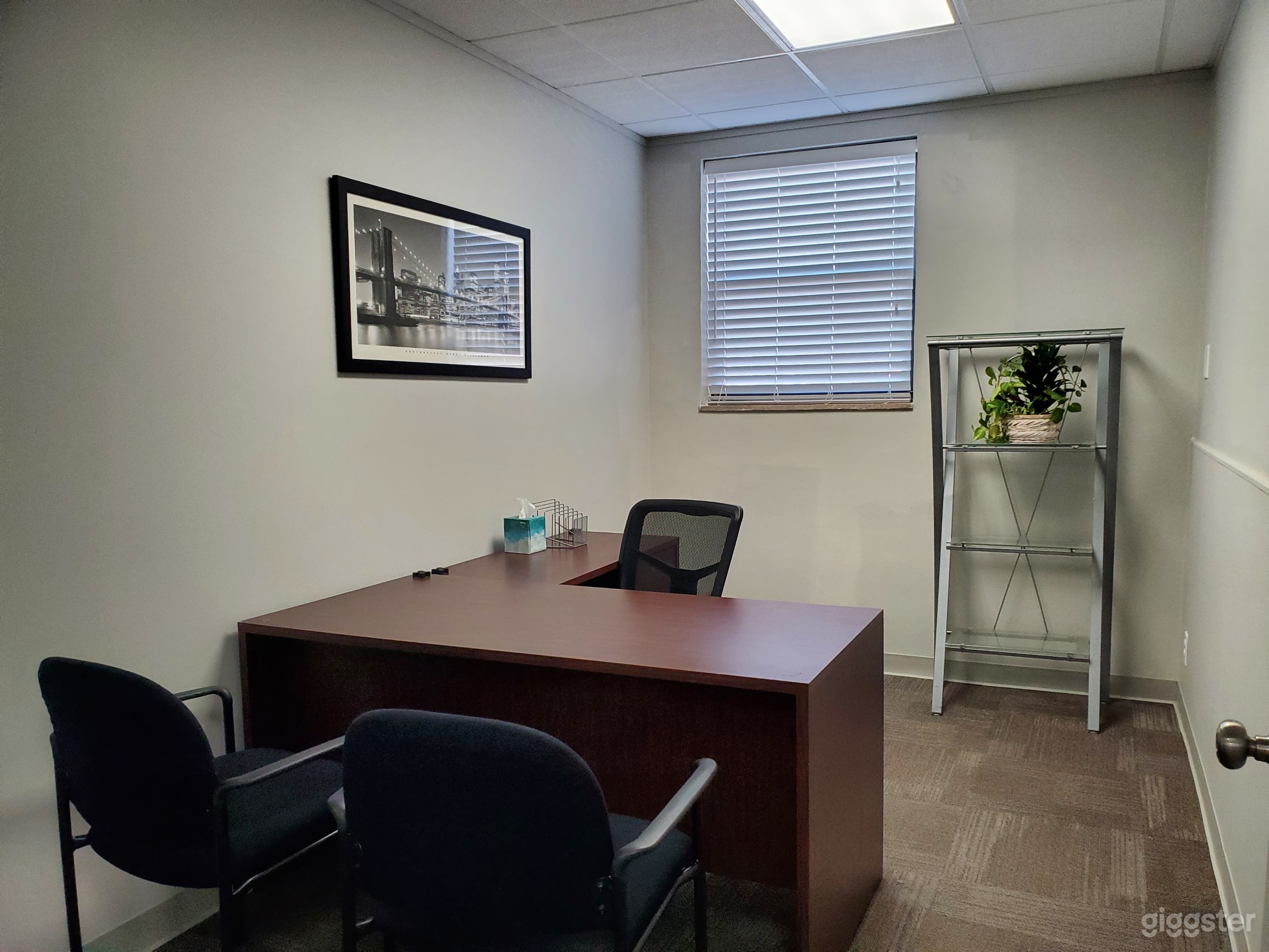WorkRoom / Private Office- 116 Photo 1