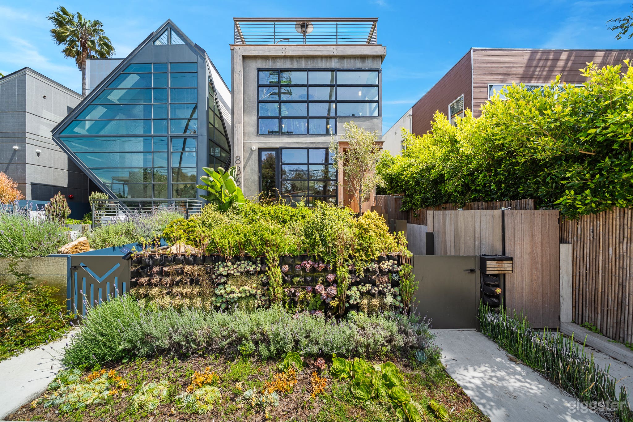 SUNLIT VENICE CINEMATIC ROOFTOP W/ POOL Photo 2