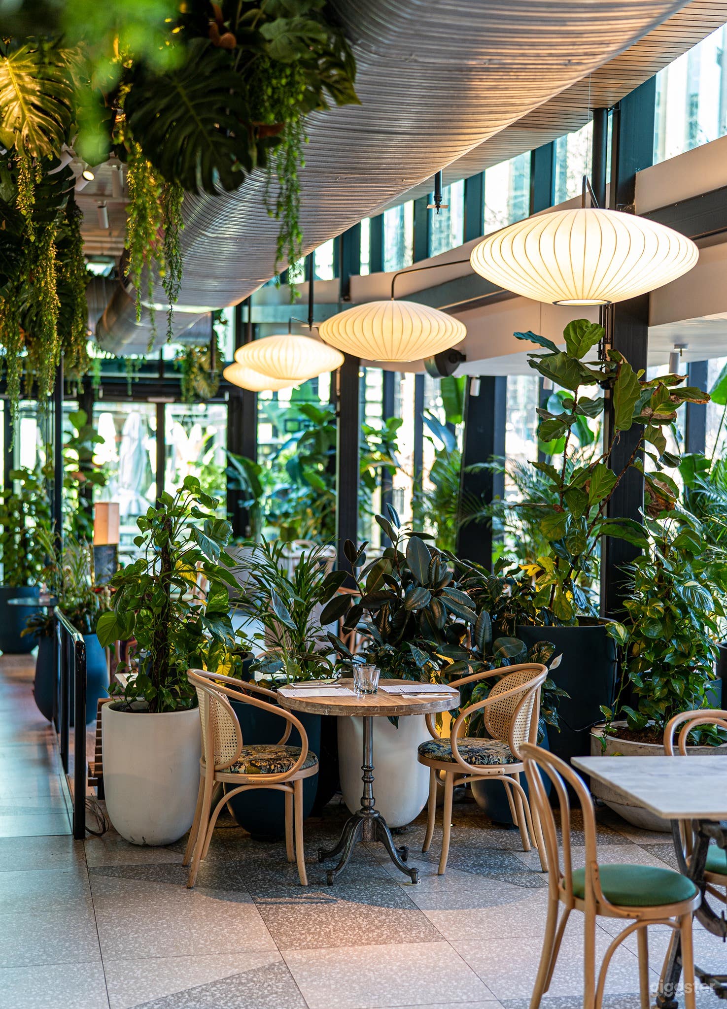 Rooftop Garden Restaurant in North Sydney Photo 3