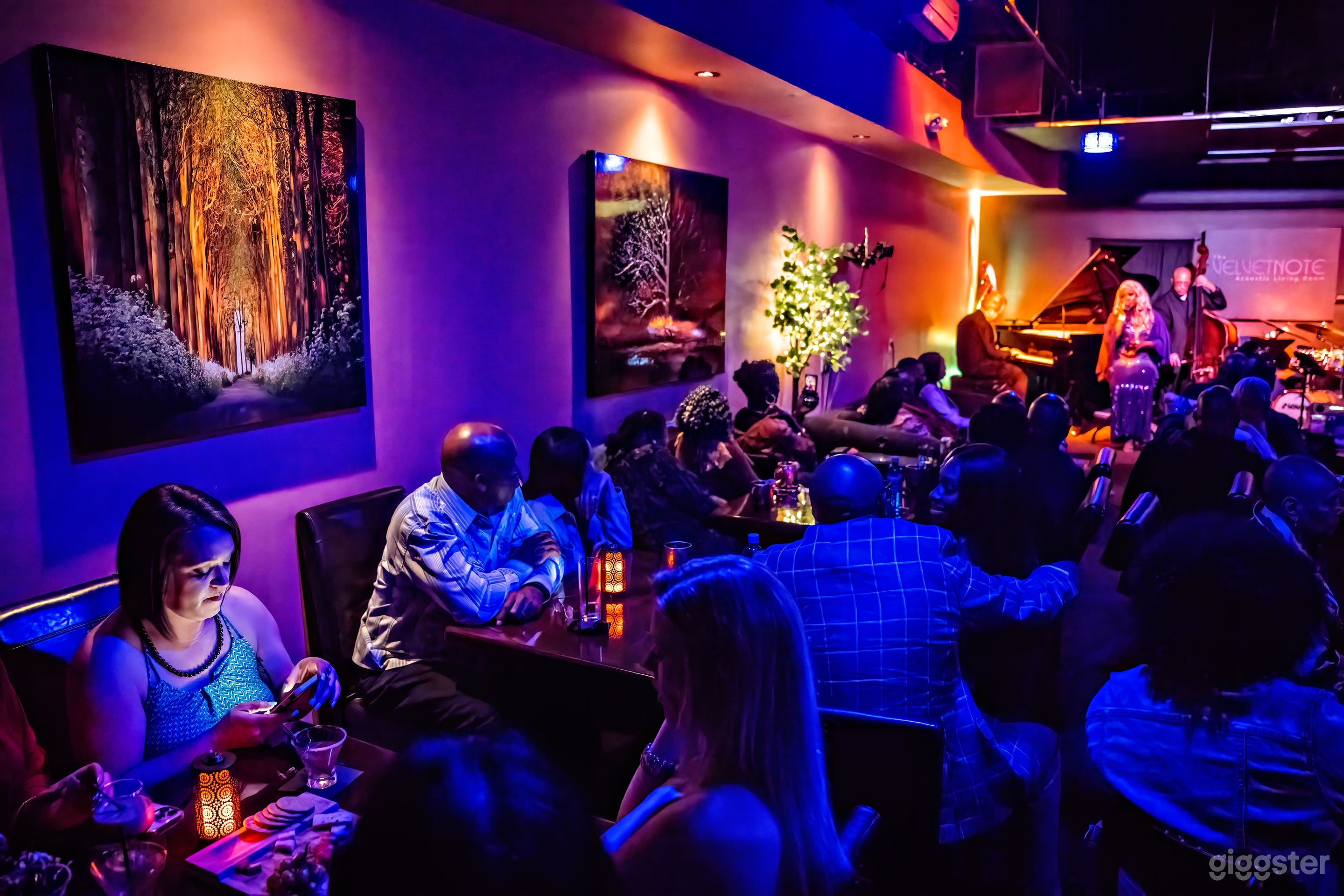 Take Your Best Shot in our Intimate Concert Venue Photo 4