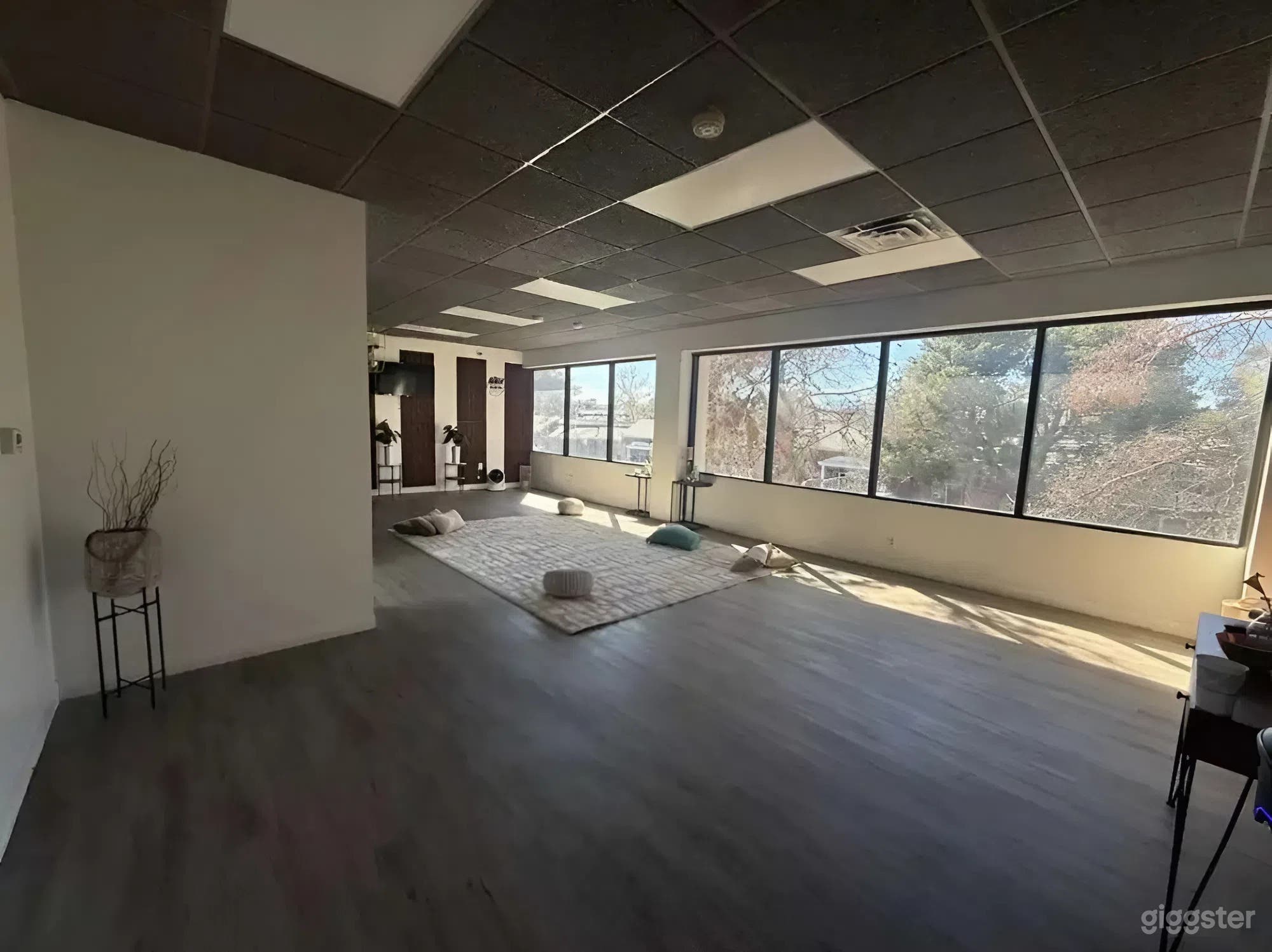 Tranquil Wellness Space for Classes, Networking & Retreats Photo 4