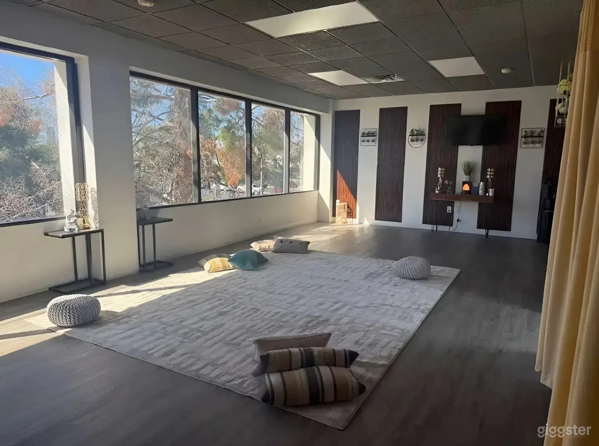 Tranquil Wellness Space for Classes, Networking & Retreats Photo 2