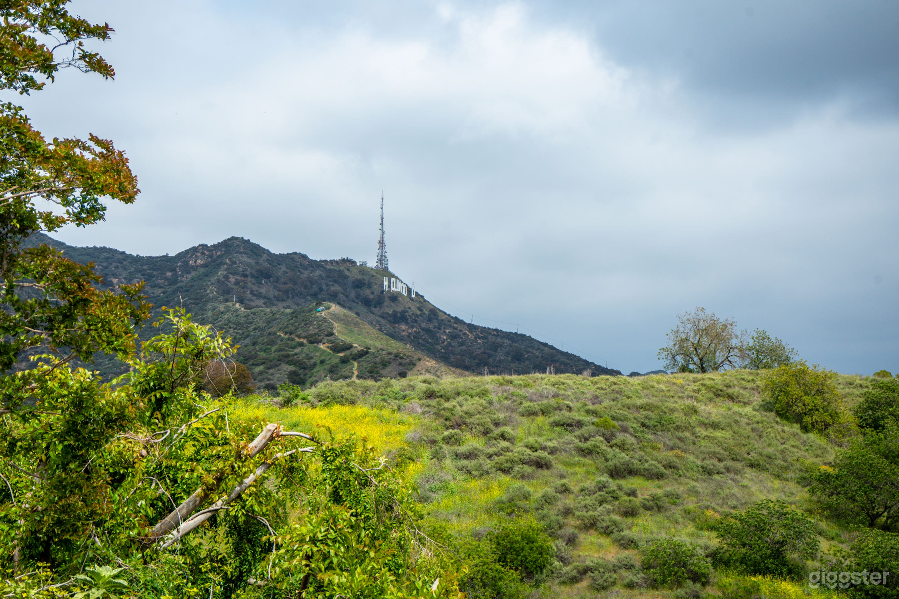 You can view the Hollywood sign from multiple viewpoints around the property!