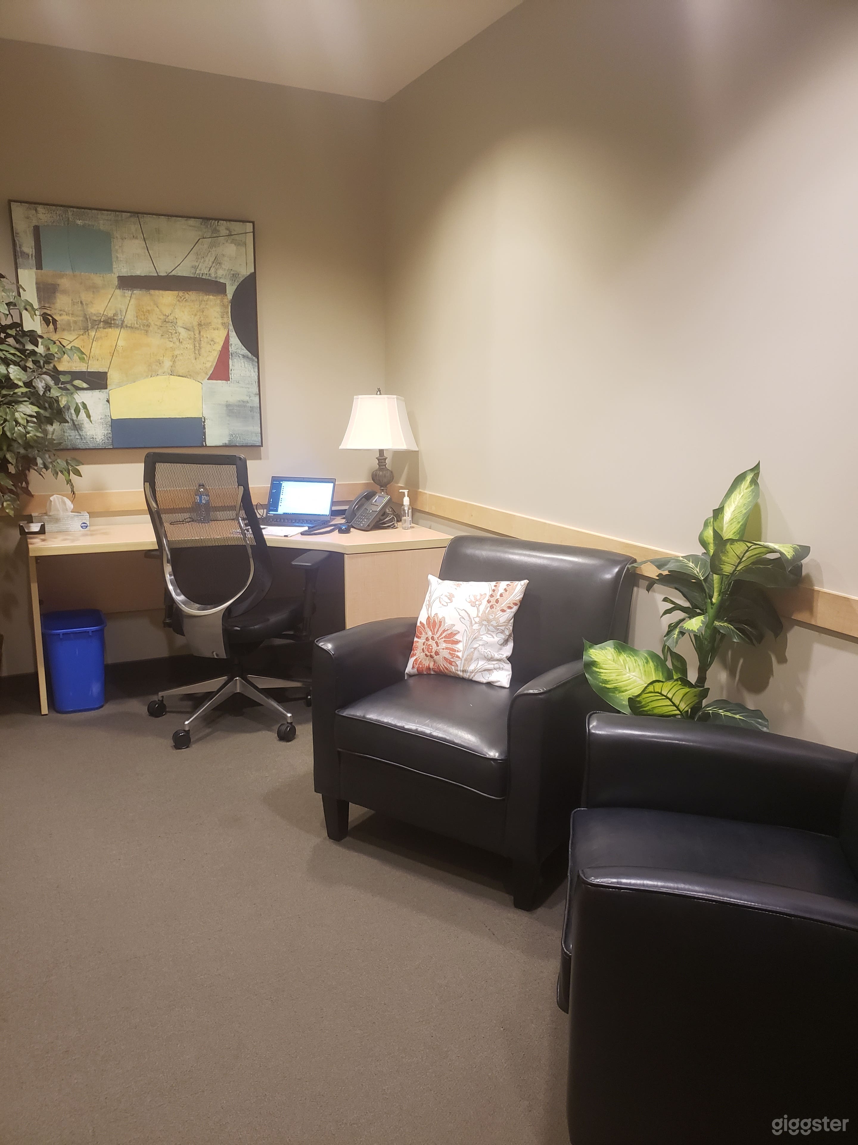 Comfy Office for Counseling sessions Photo 3