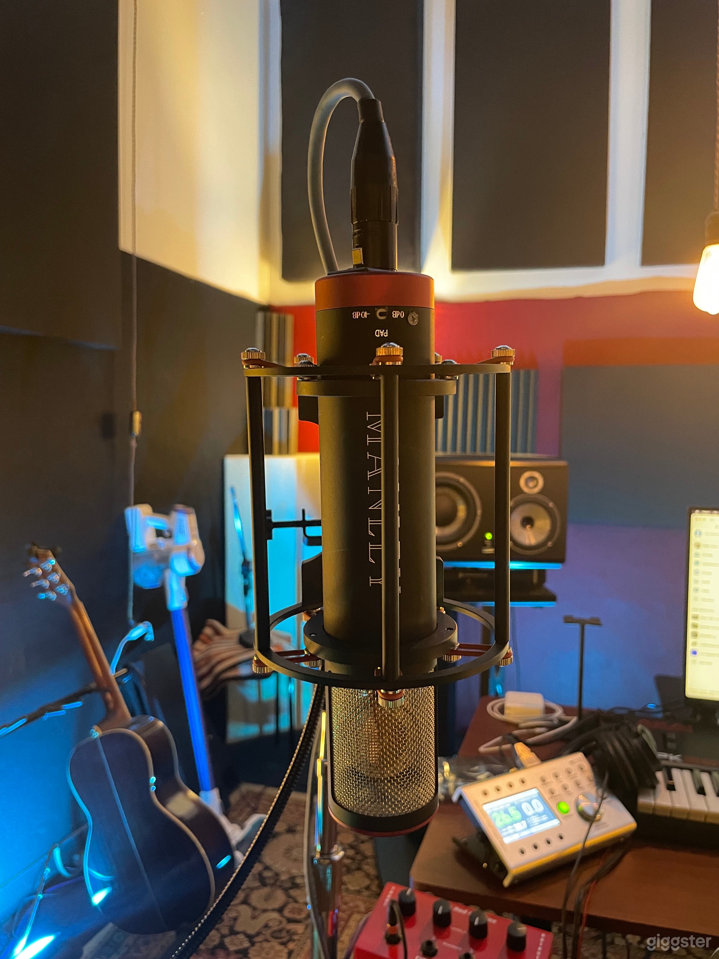 Manley Reference Mic