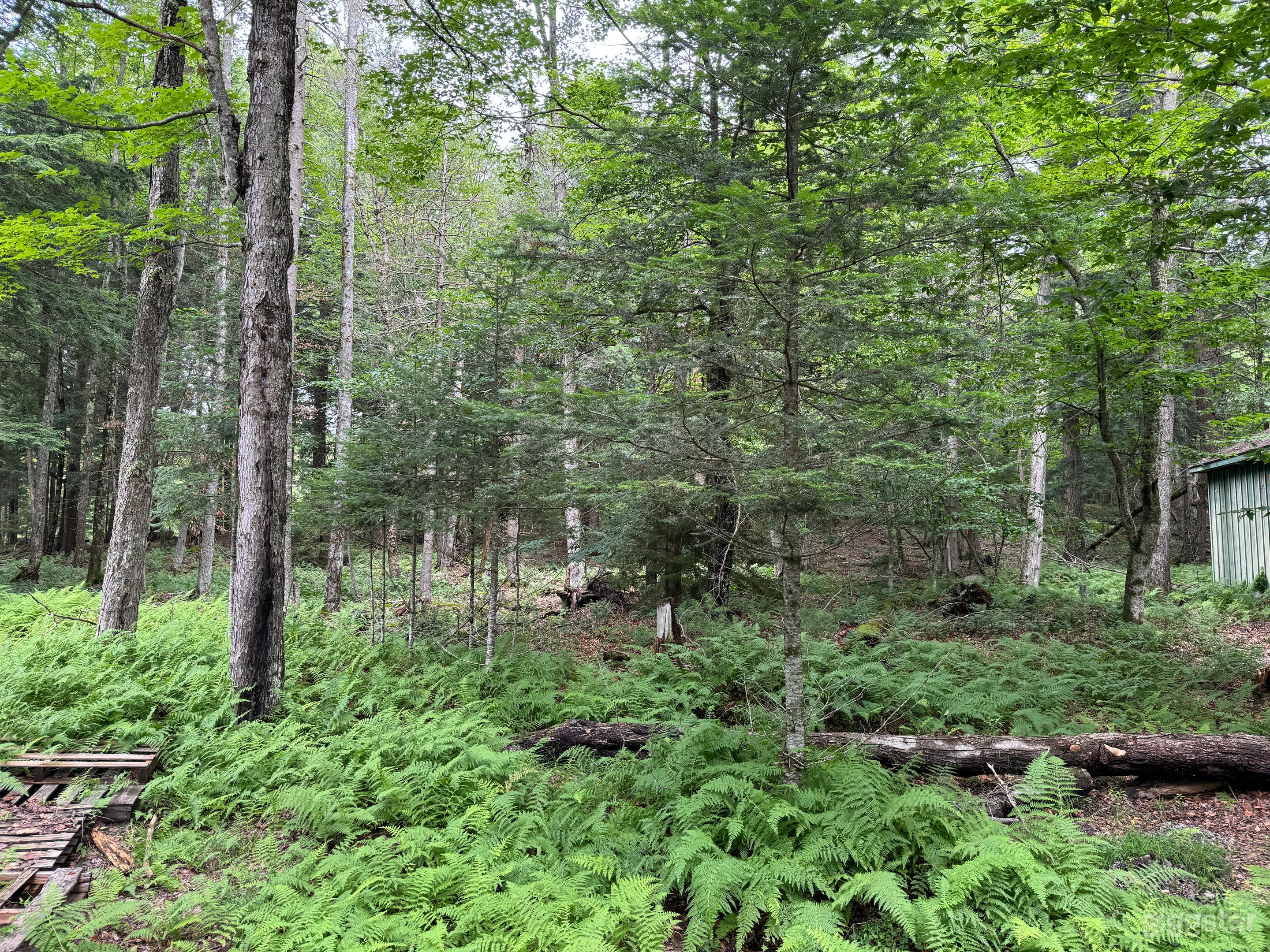 Rustic Adirondack Lake House for Film & Photo Shoots Photo 3