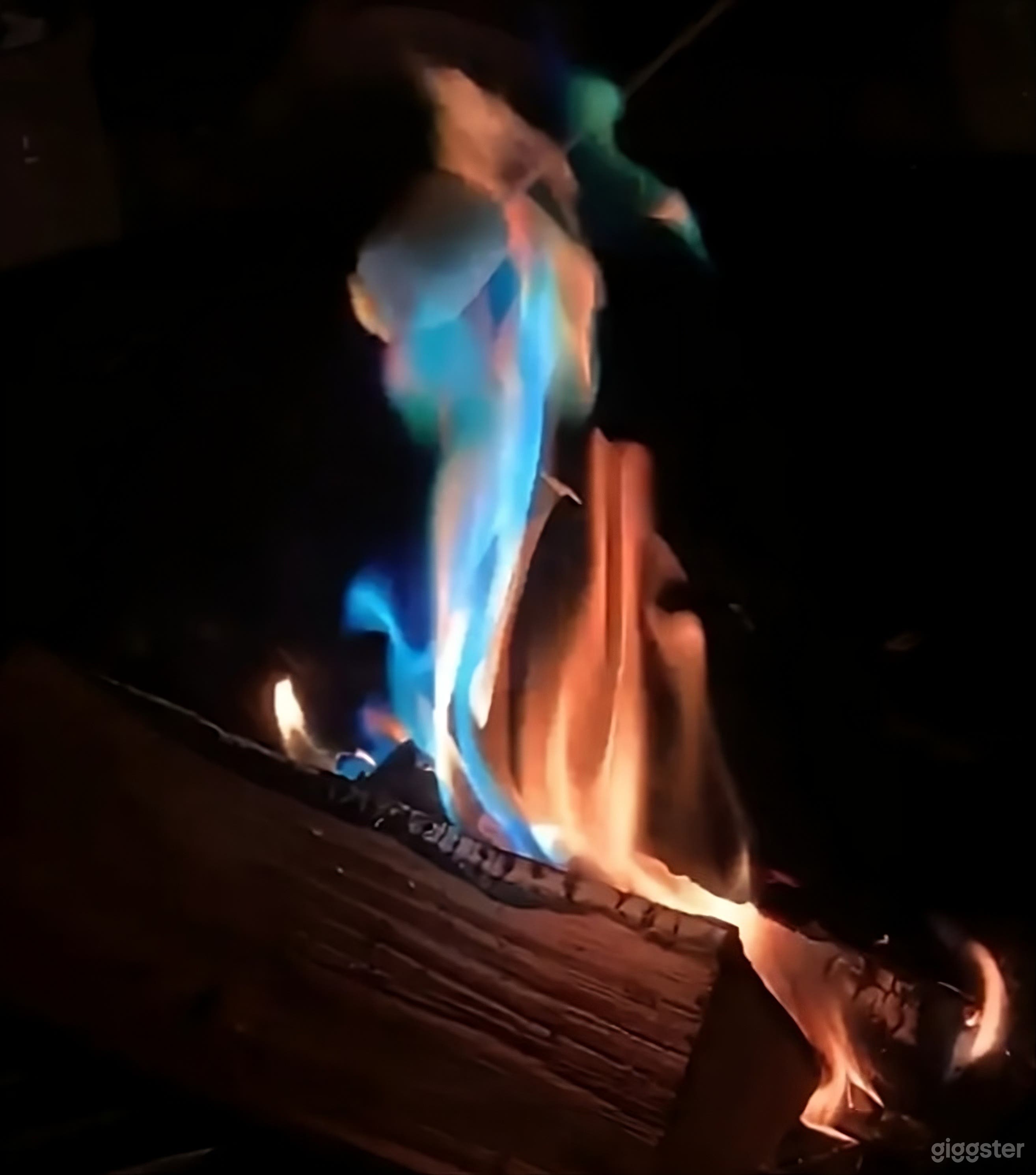 Cozy Backyard Oasis with Fire Pit Photo 3