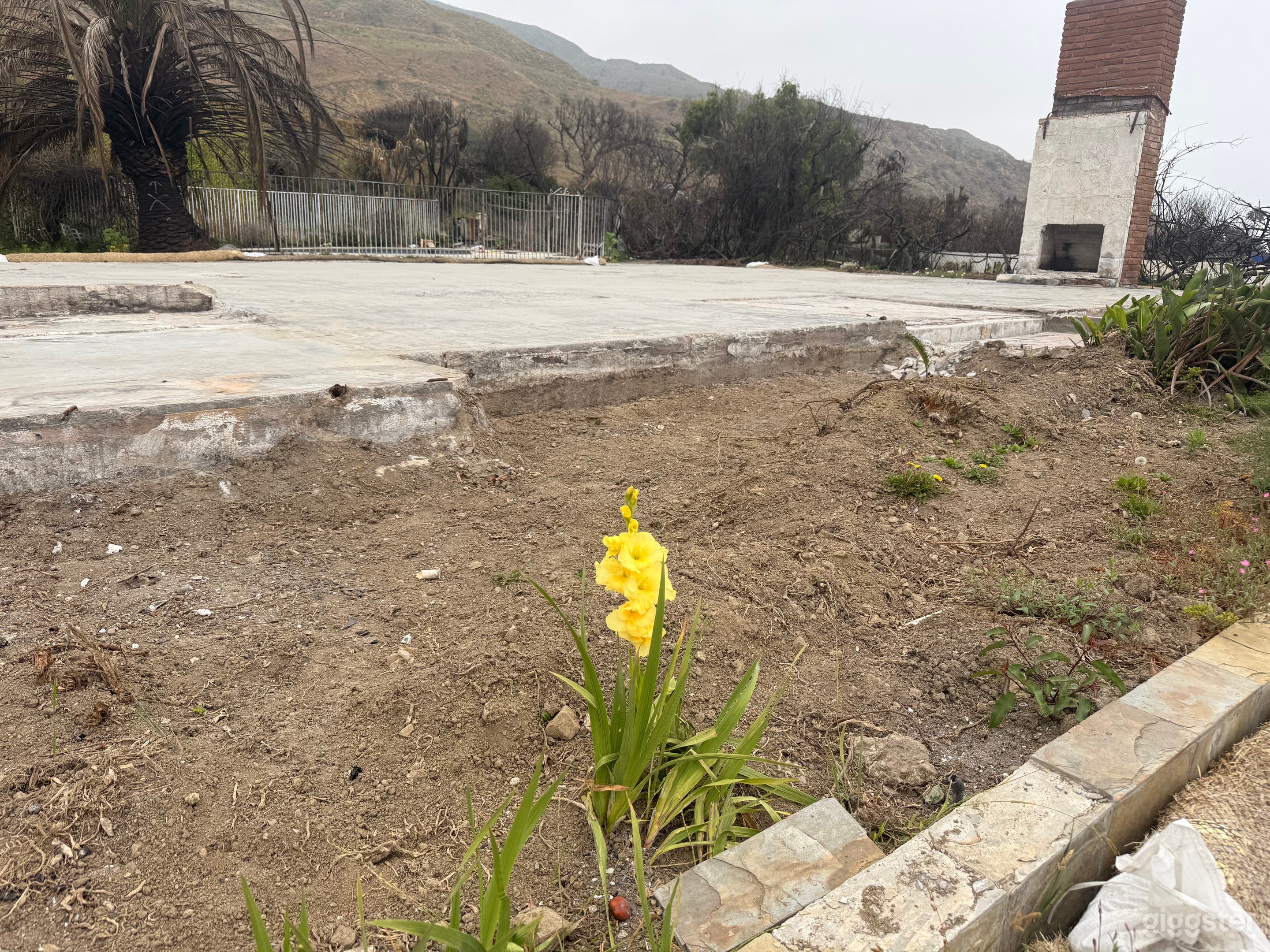 Apocalyptic 🔥 Post-Wildfire Malibu Beachside Lot Photo 2