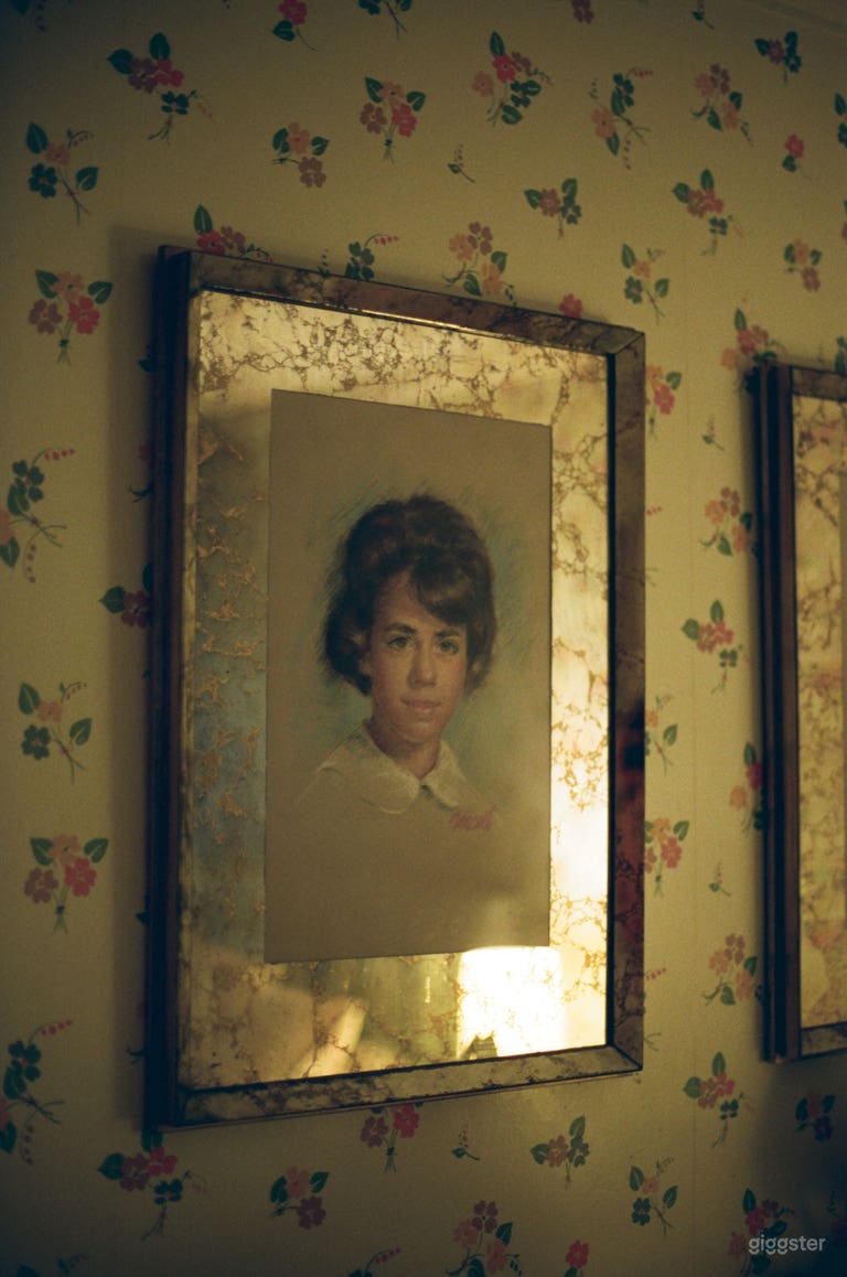  Midcentury modern mansion with quirky taxidermy 