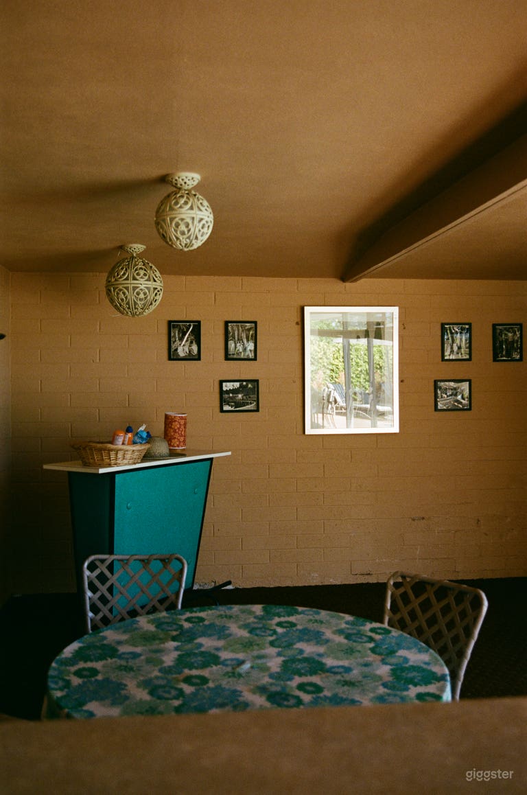  Midcentury modern mansion with quirky taxidermy 