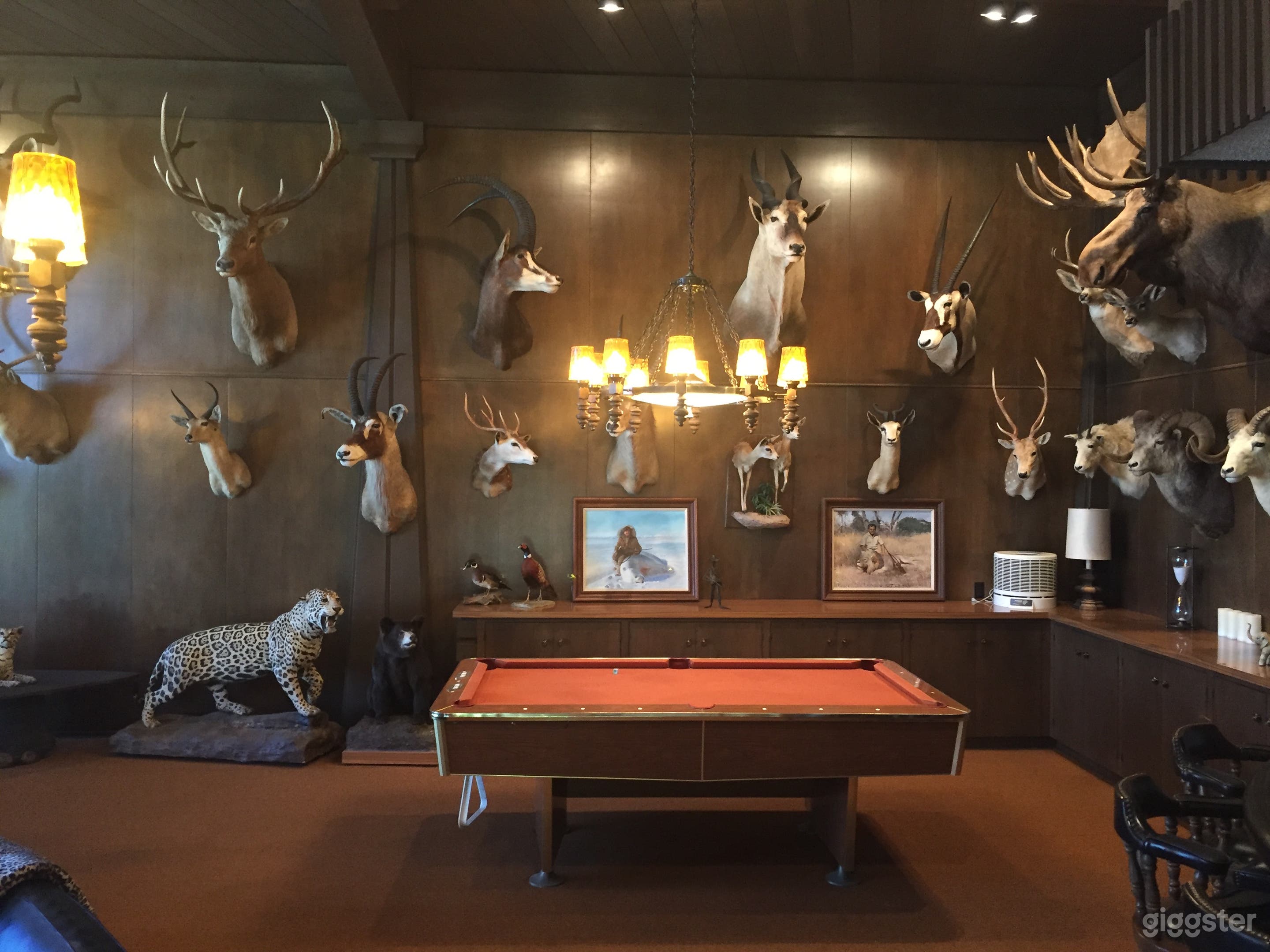 The "Trophy Room" -- all legally acquired in the 1950s