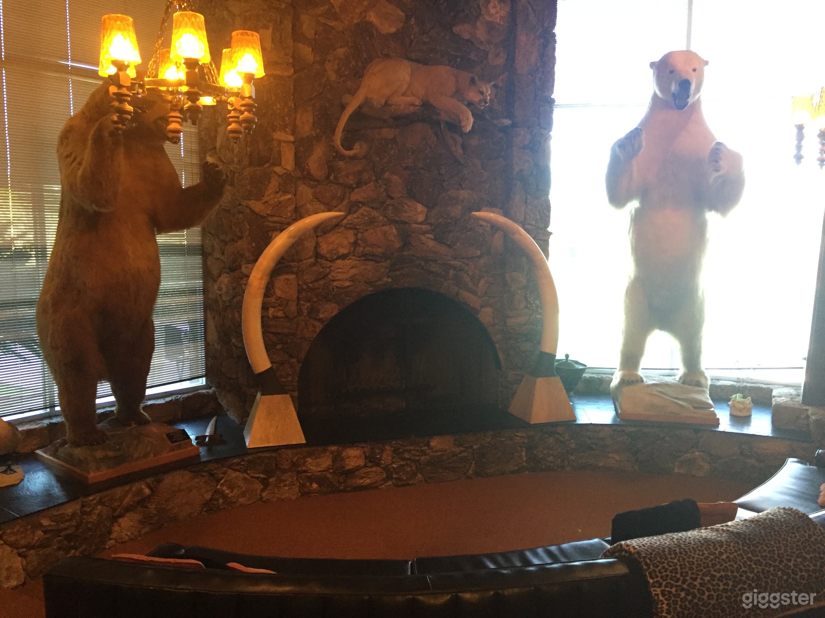 The "Trophy Room" -- all legally acquired in the 1950s