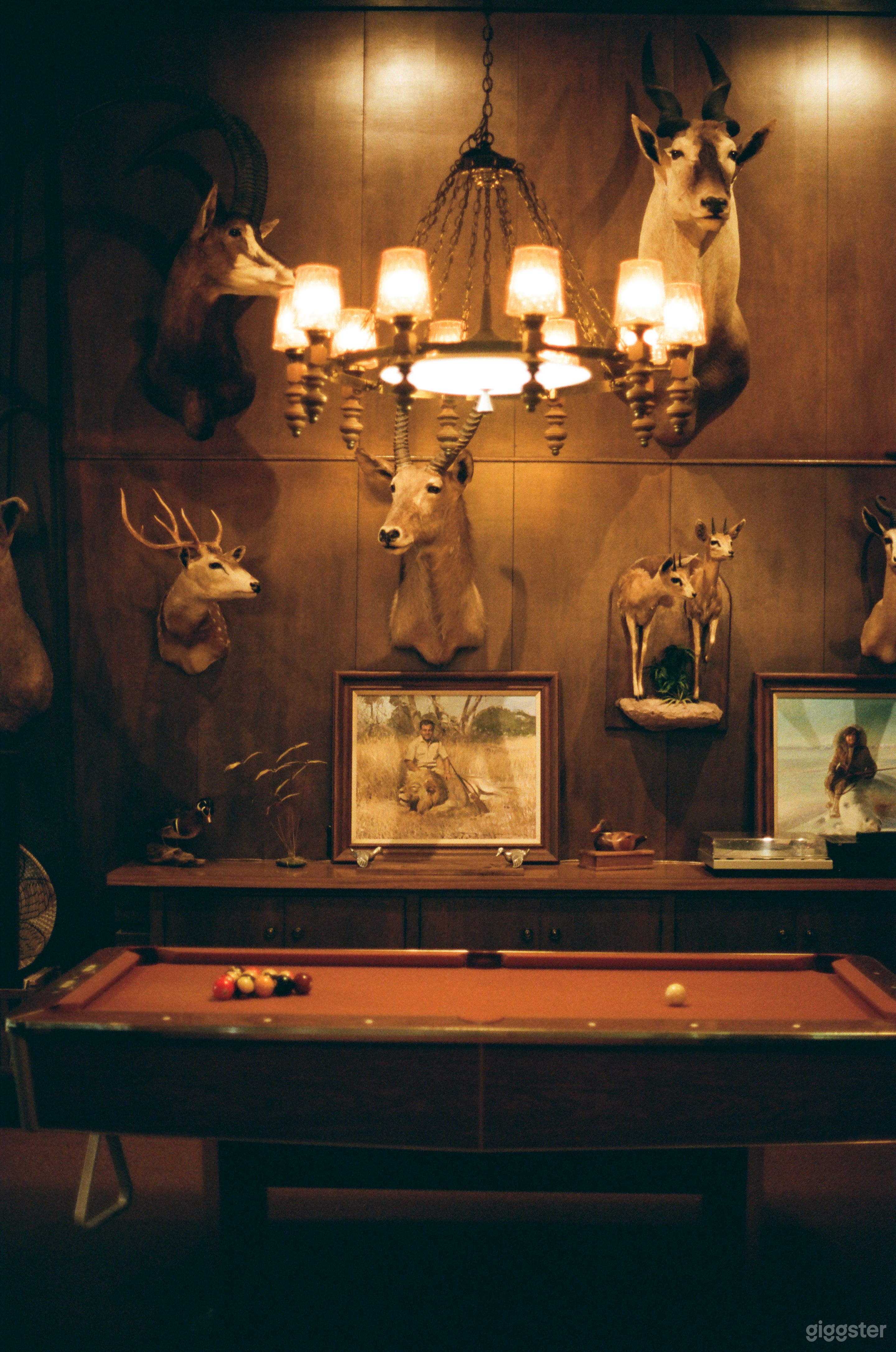 Rancho Mesquite: Midcentury Ranch Home with Taxidermy Photo 1