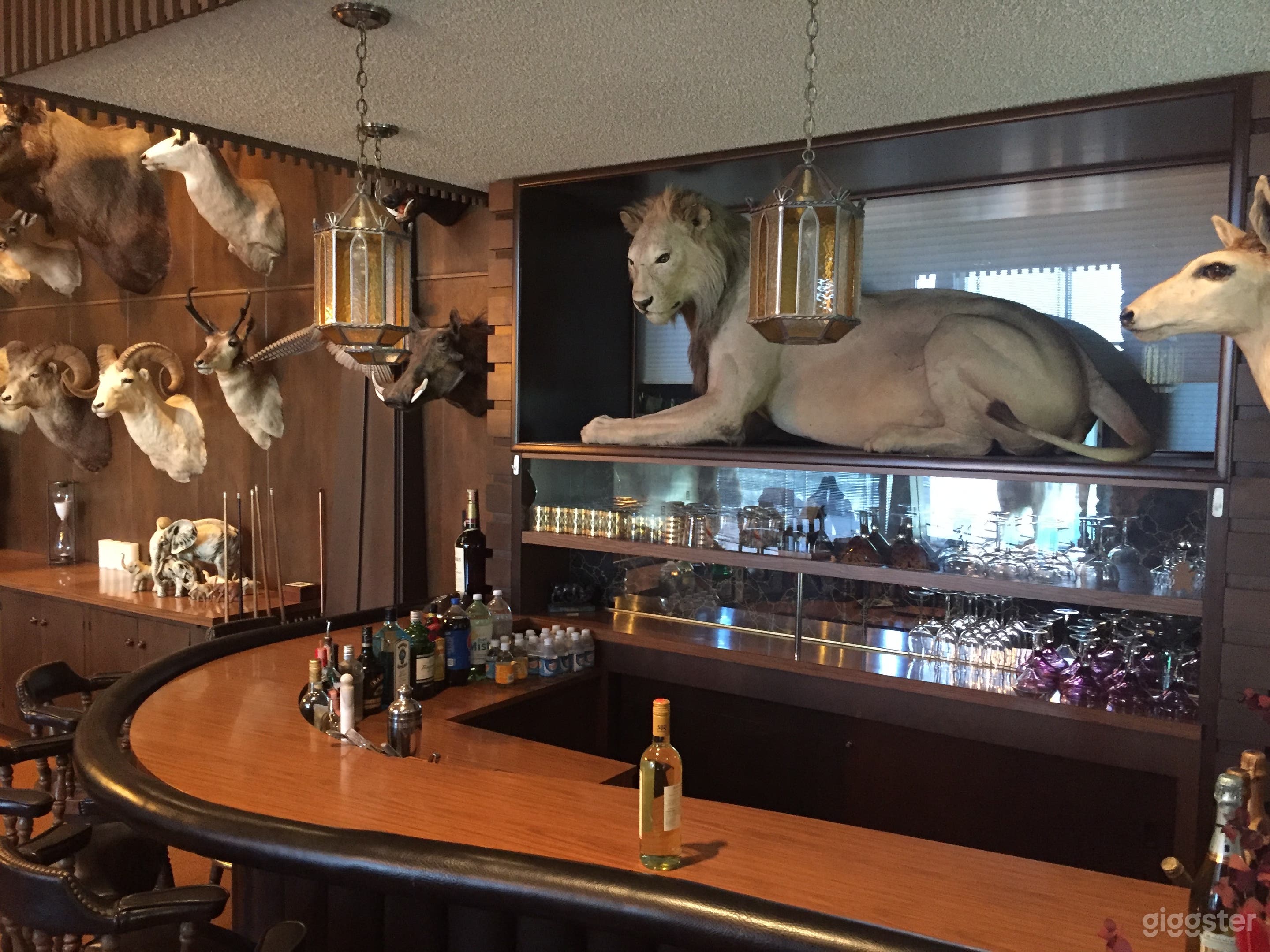 The "Trophy Room" -- all legally acquired in the 1950s